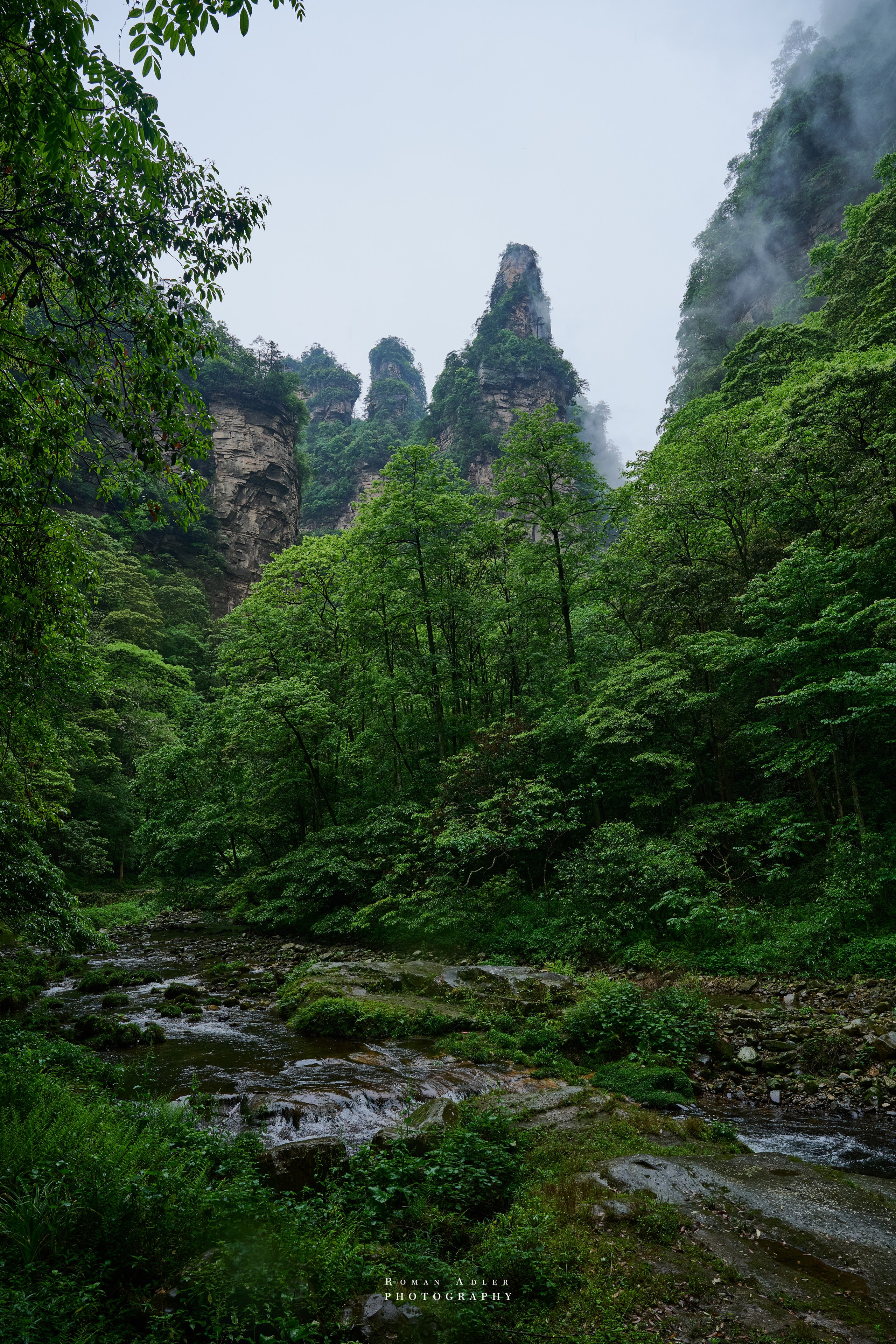 Zhangjiajie. Here, the sky seems to descend to the earth