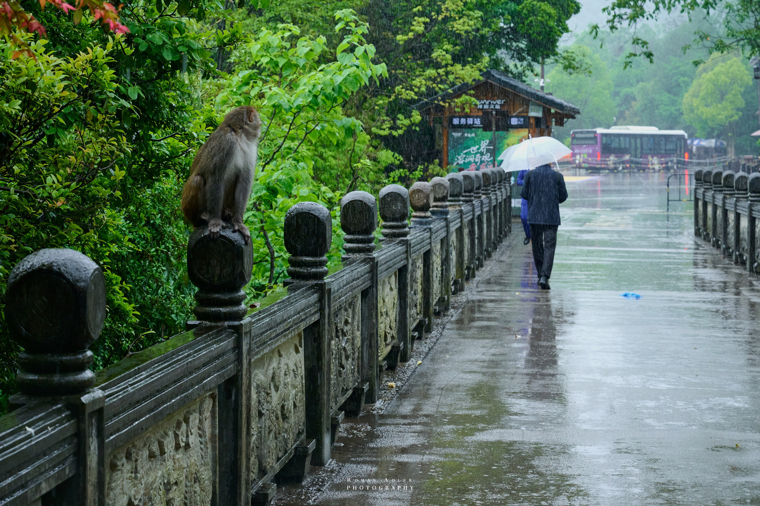 Zhangjiajie. Here, the sky seems to descend to the earth