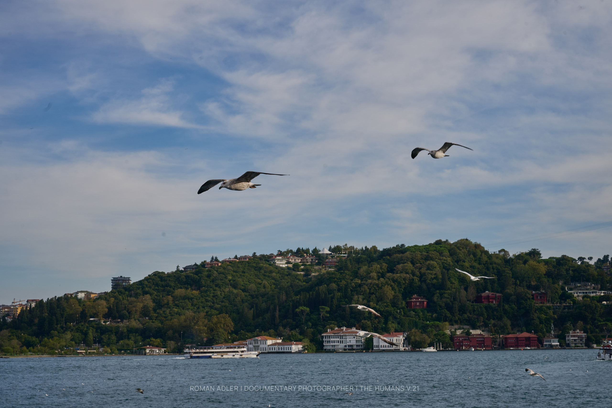 Estambul. Septiembre 2026 | Roman Adler