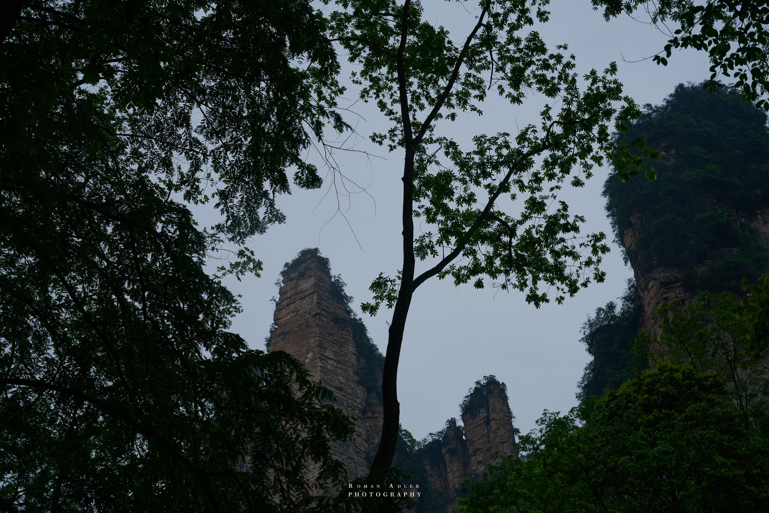 Zhangjiajie. Here, the sky seems to descend to the earth