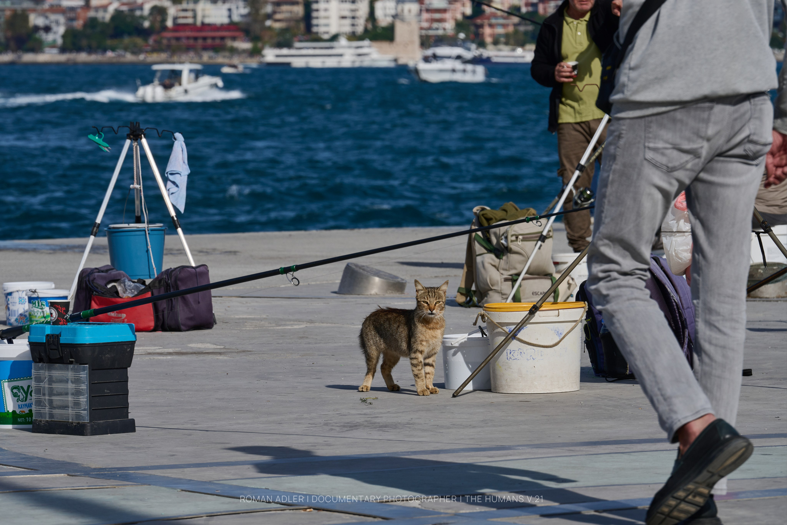 Estambul. Septiembre 2026 | Roman Adler