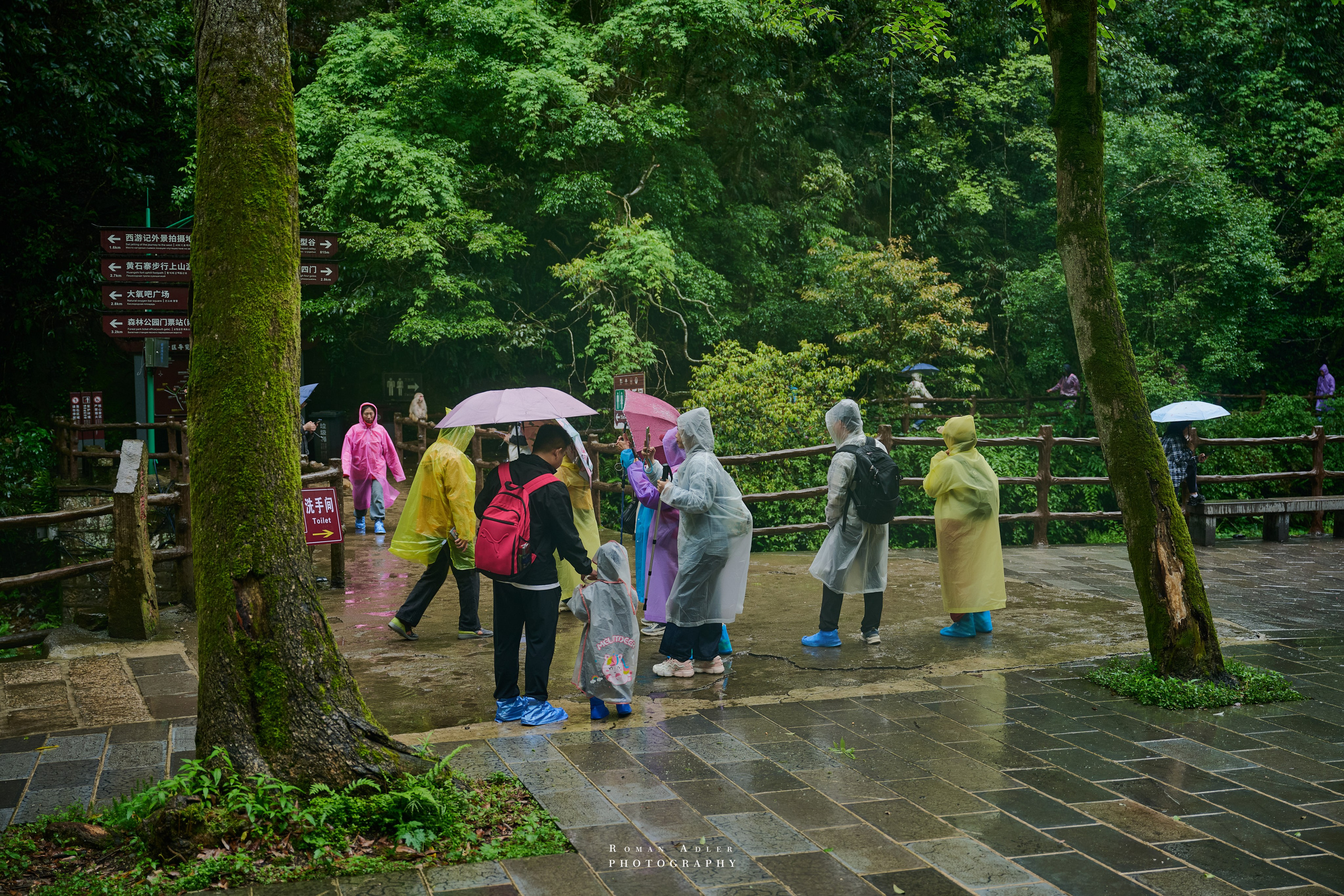Zhangjiajie. Here, the sky seems to descend to the earth