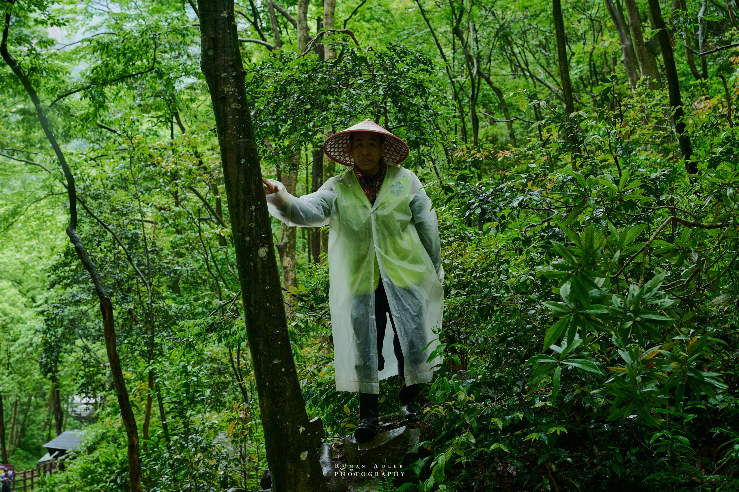 Zhangjiajie. Here, the sky seems to descend to the earth