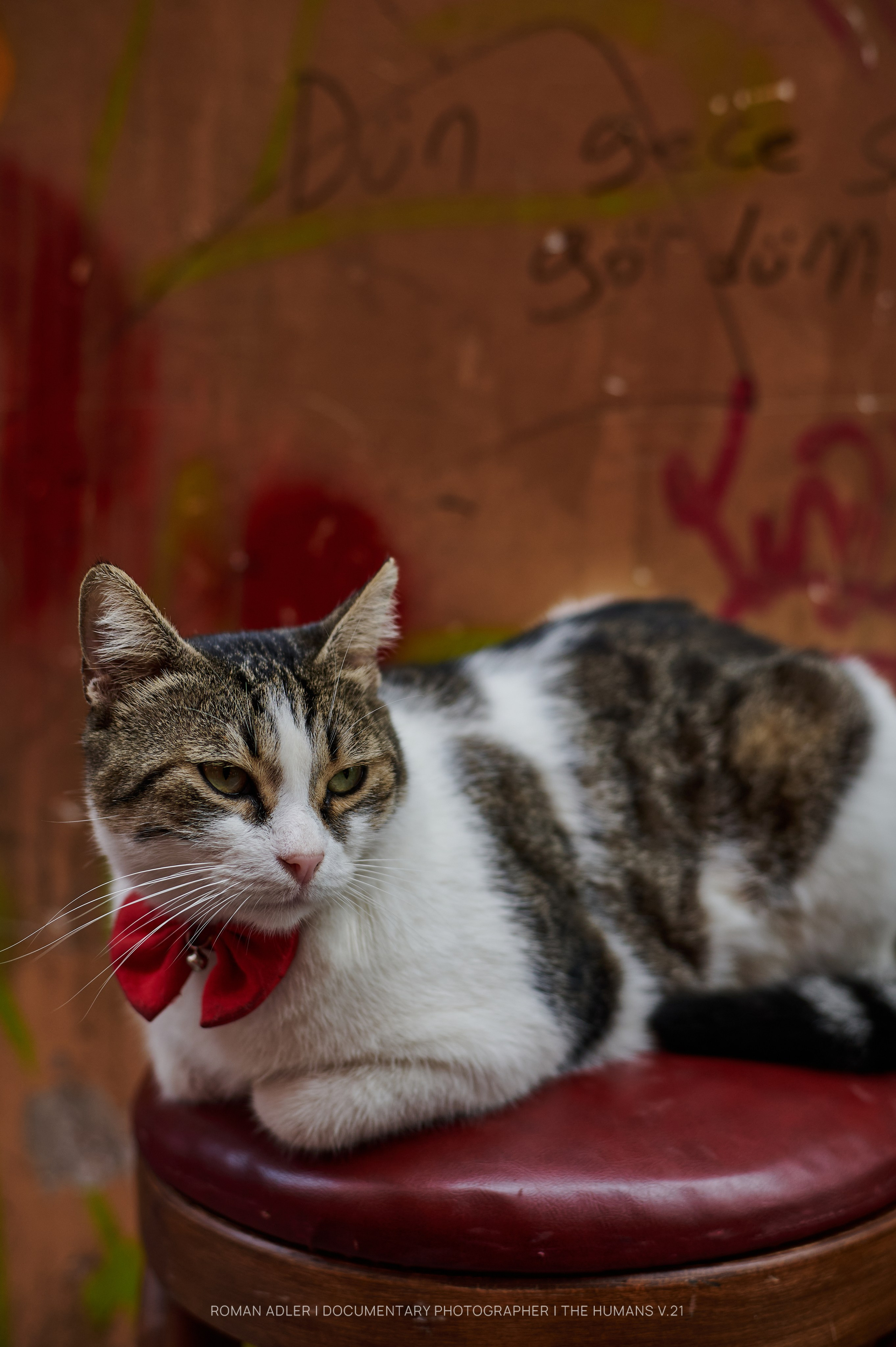 Istanbul Street Photography Festival (ISPF)