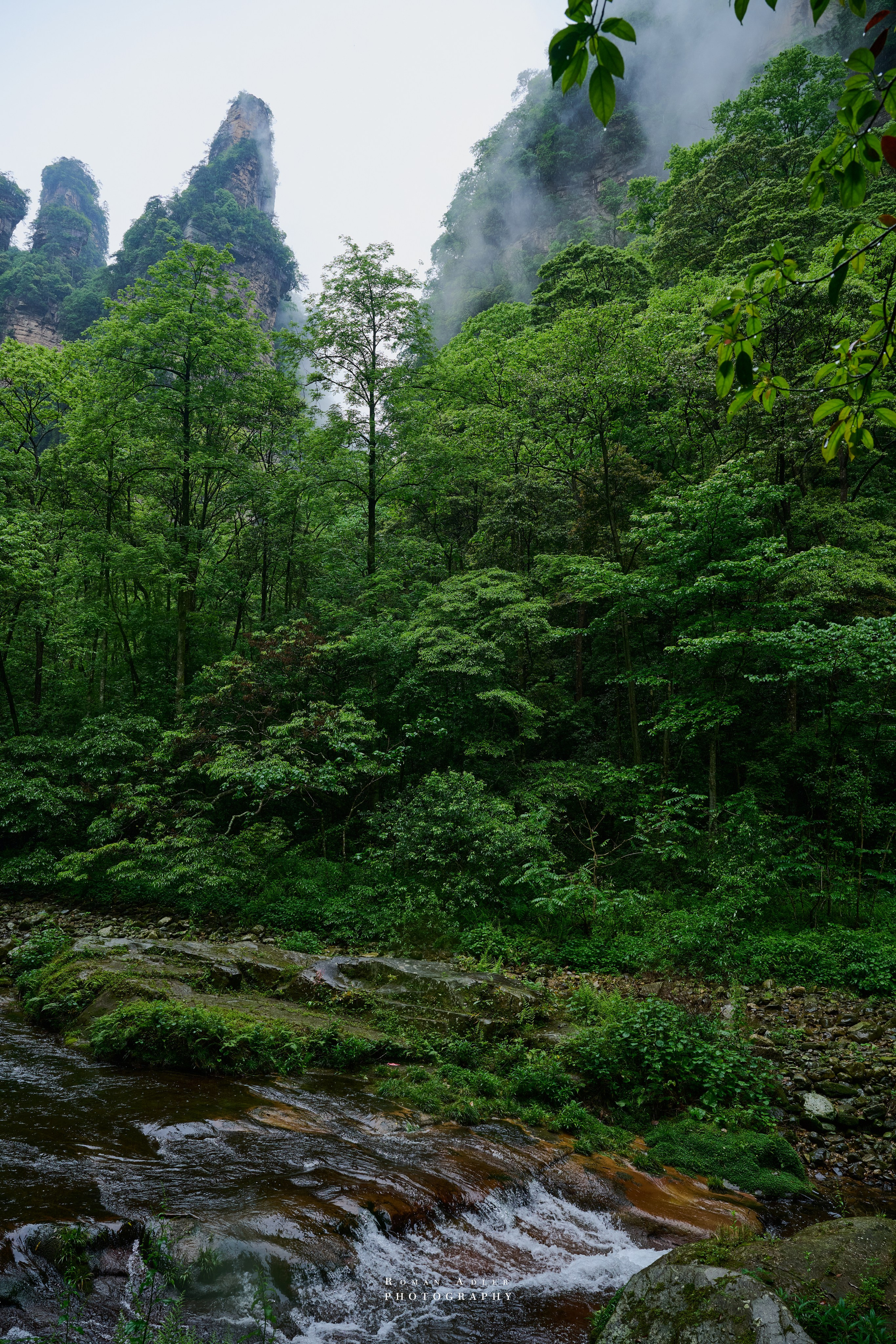 Zhangjiajie. Here, the sky seems to descend to the earth