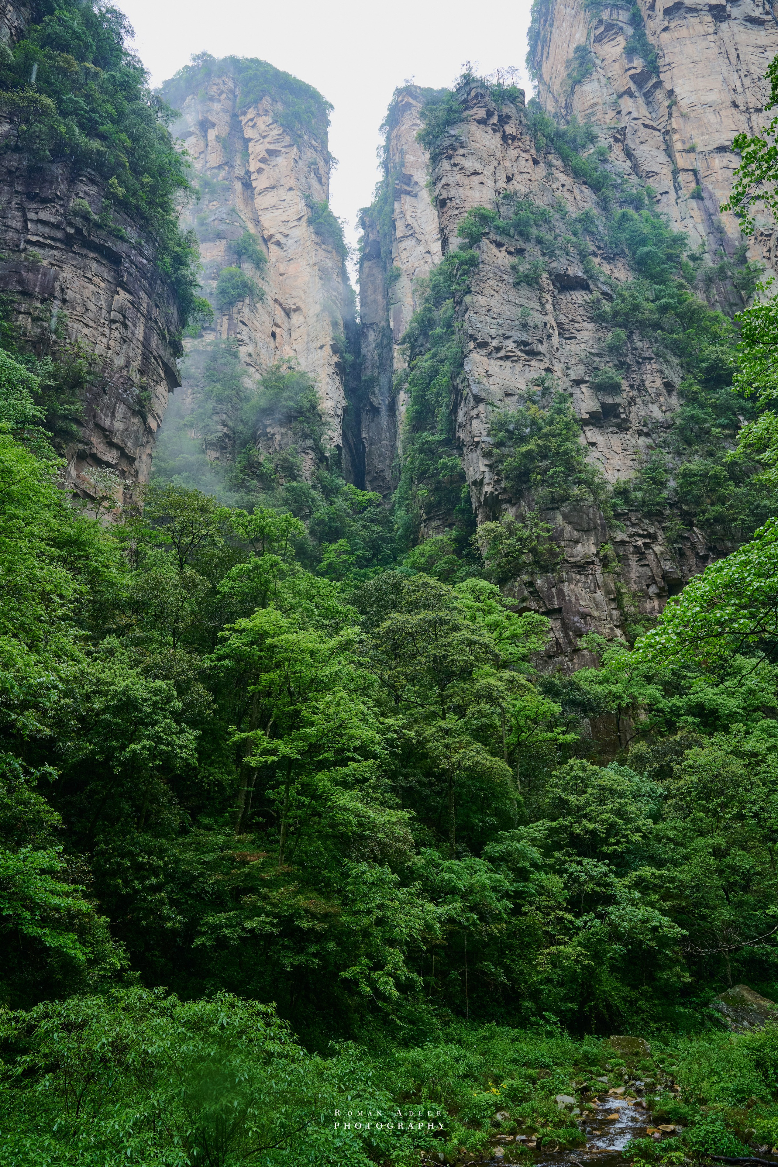 Zhangjiajie. Here, the sky seems to descend to the earth