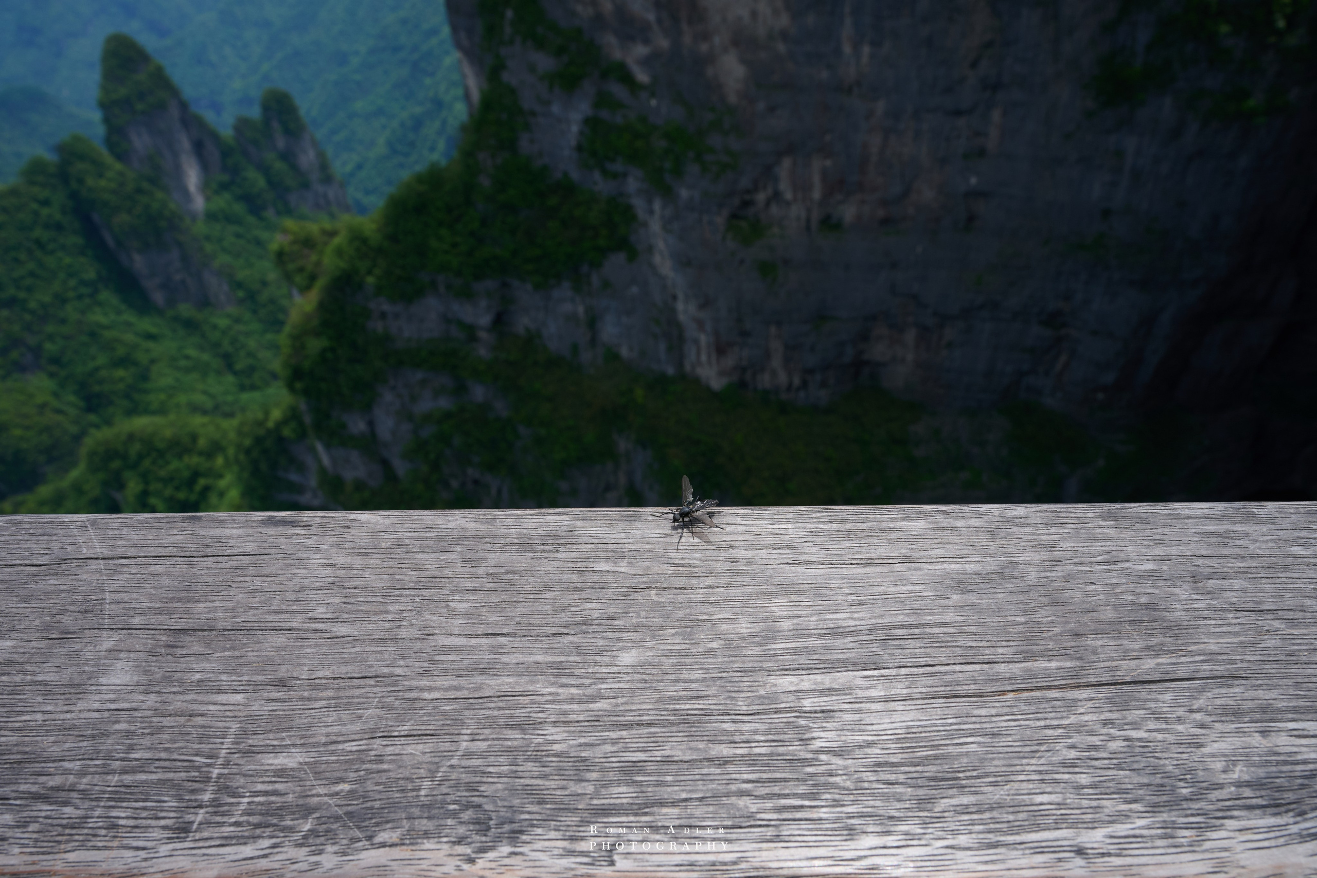 Гора Тяньмэнь (кит. 天门山, Tiānmén Shān). Photographer Roman Adler