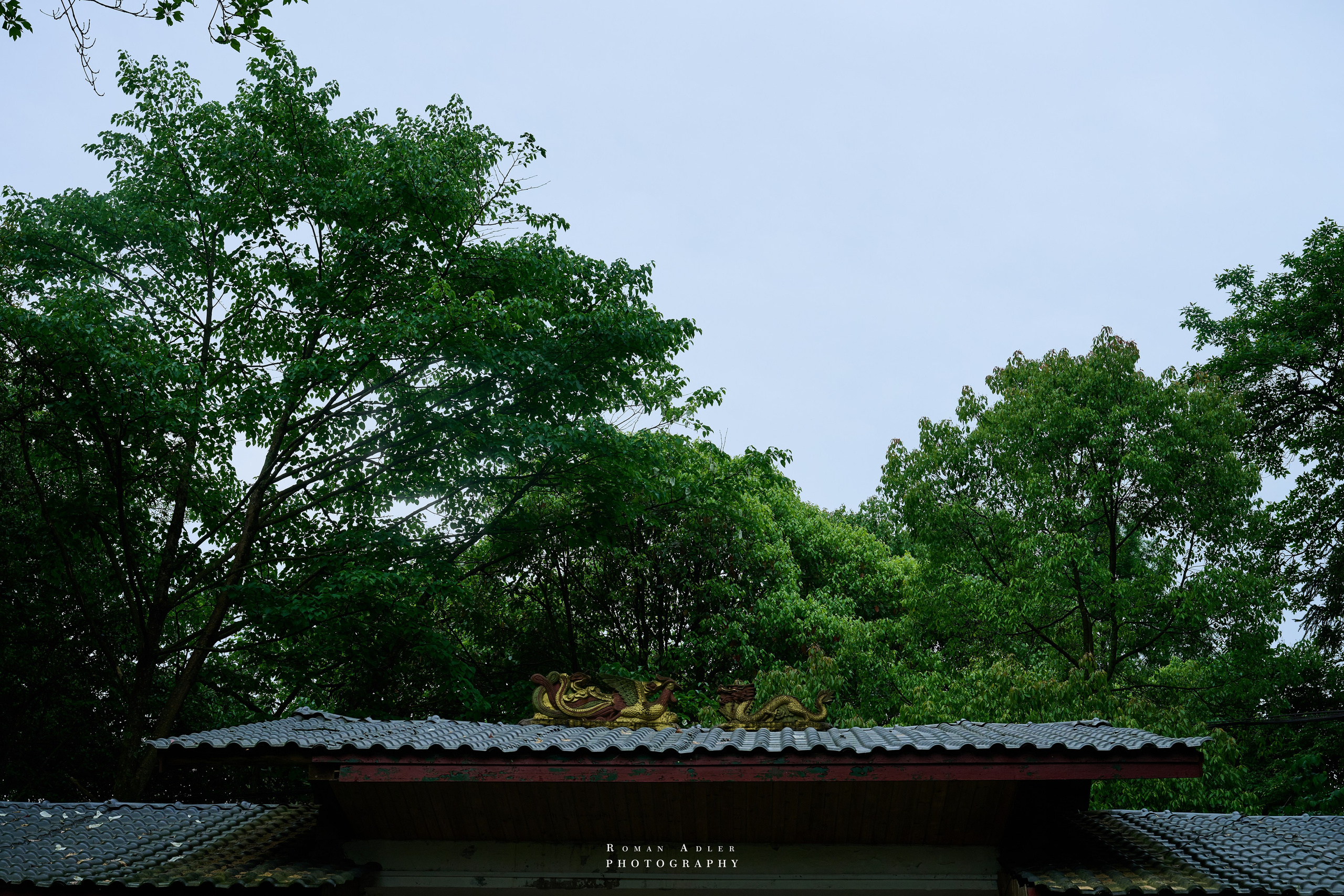 Zhangjiajie. Here, the sky seems to descend to the earth