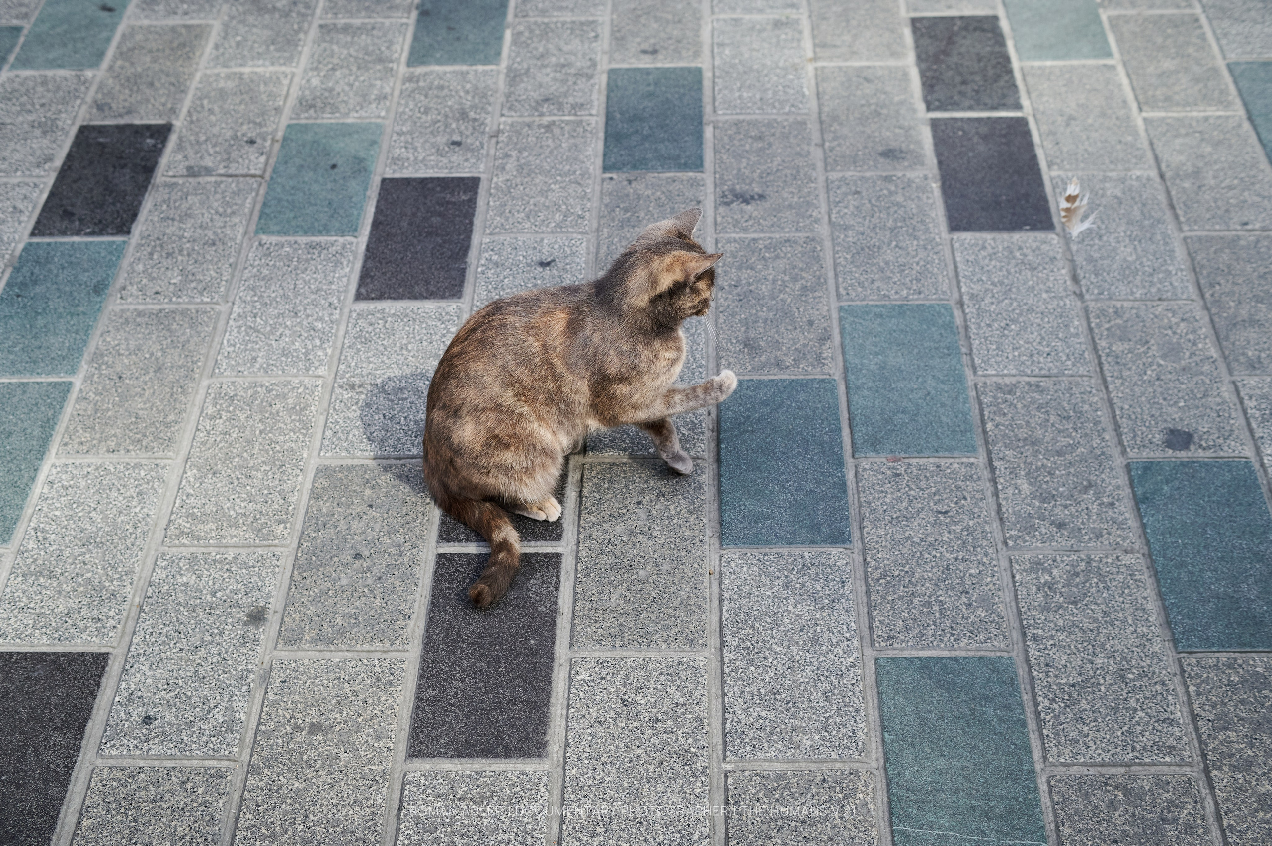 Istanbul Street Photography Festival (ISPF)