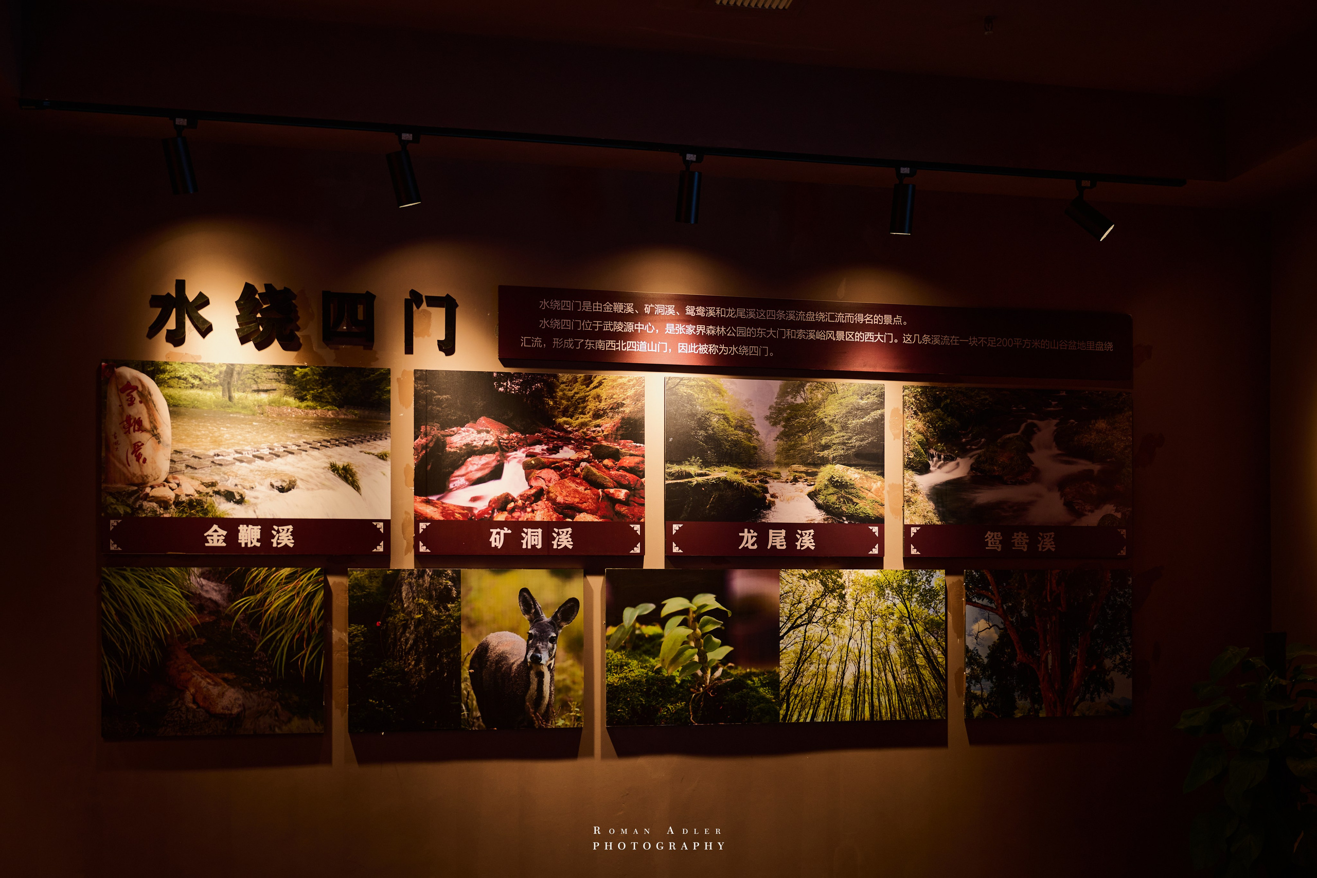 Zhangjiajie World Geopark Museum