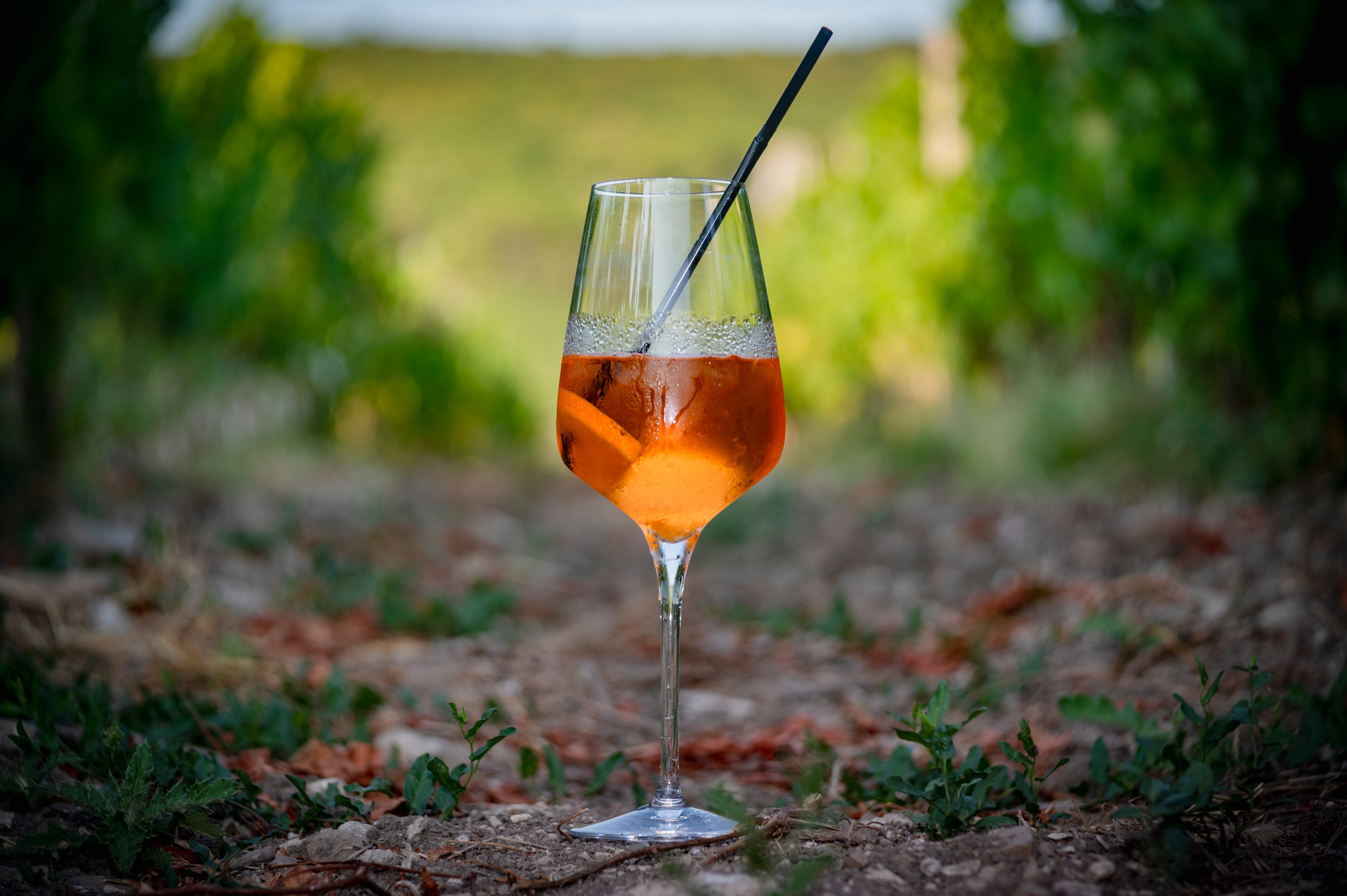 Геленджик. Август 2023. Фотограф Роман Адлер