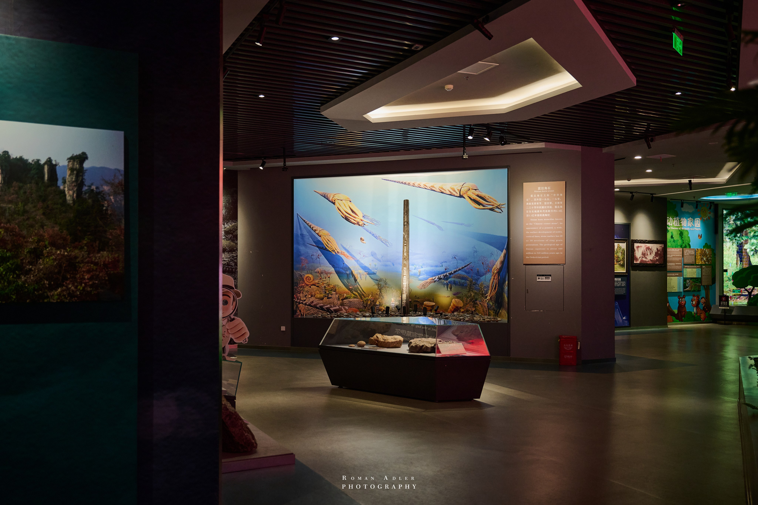 Zhangjiajie World Geopark Museum