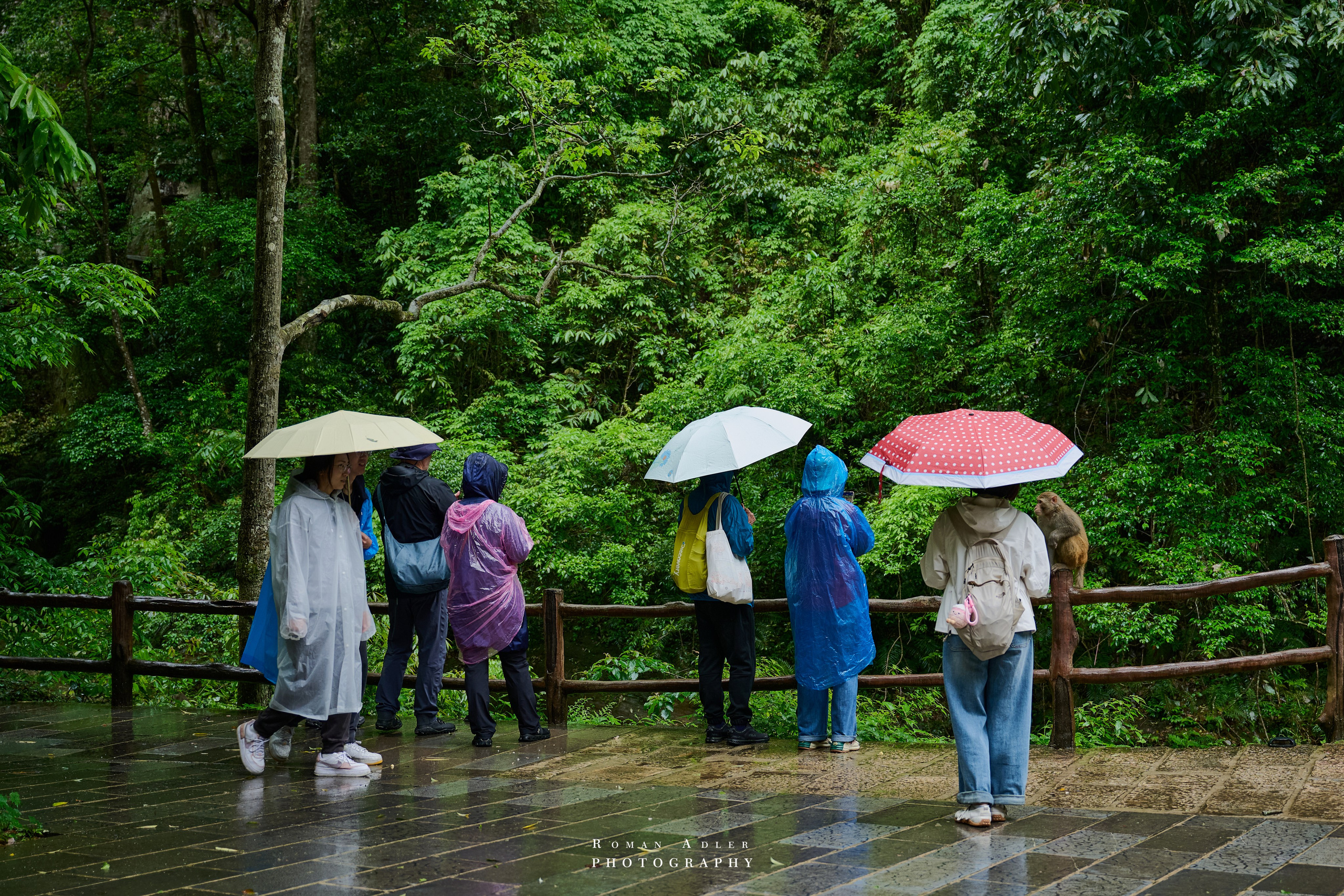 Zhangjiajie. Here, the sky seems to descend to the earth