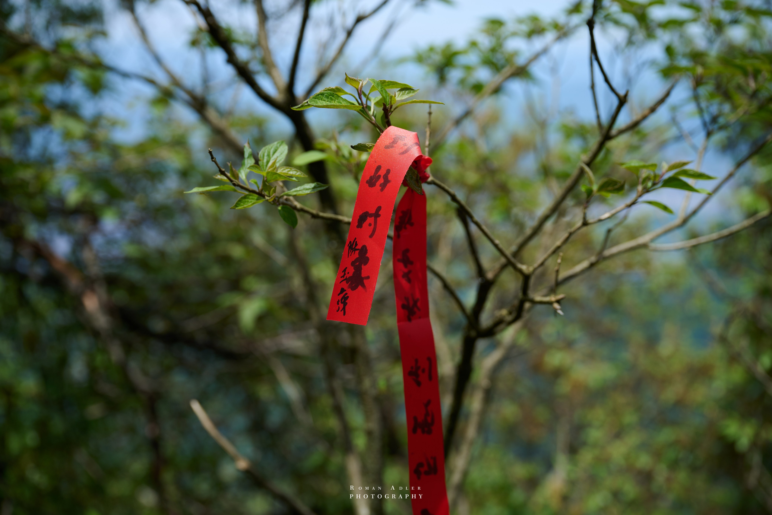 Heaven’s Gate — Zhangjiajie’s Iconic Mountain