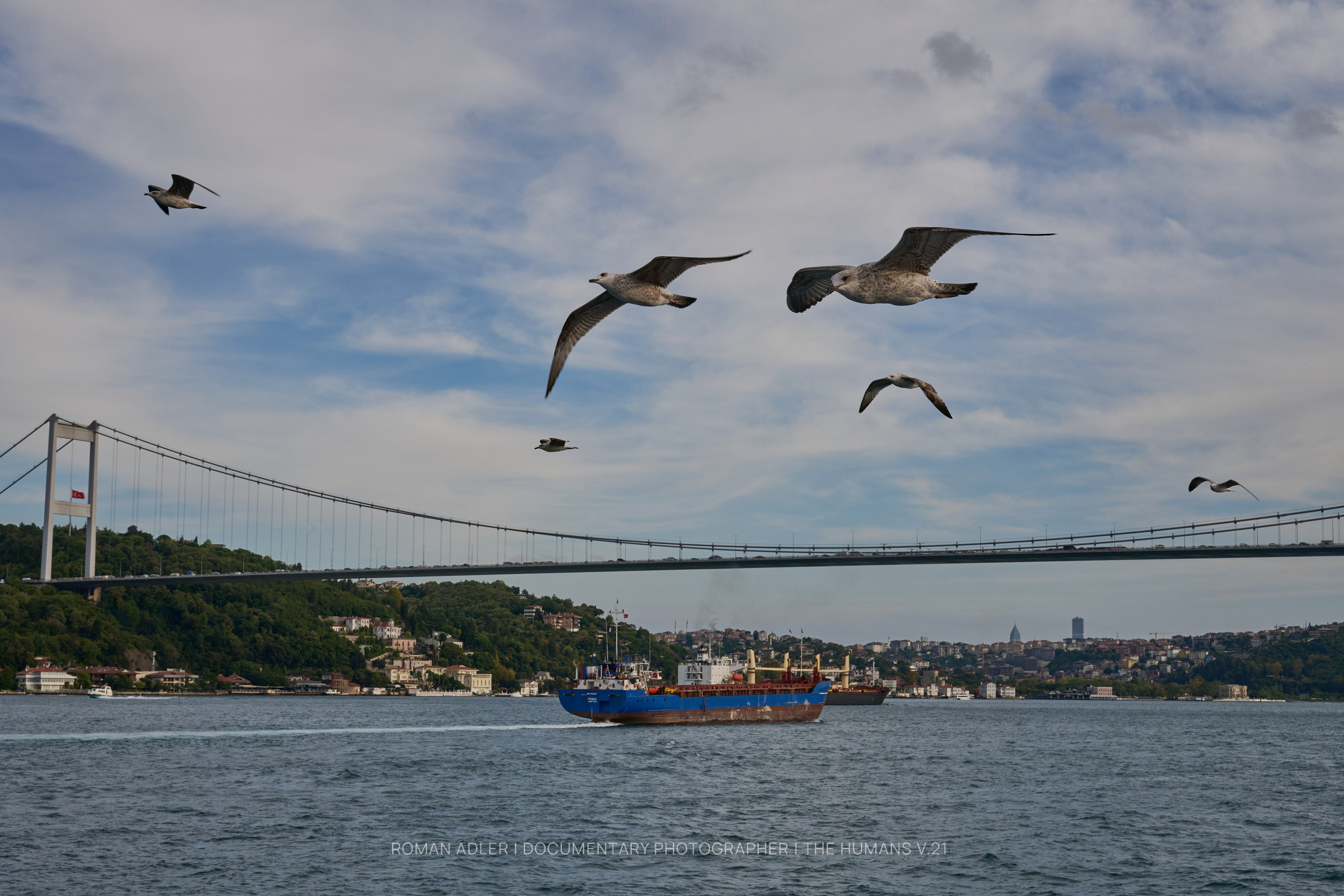 Estambul. Septiembre 2026 | Roman Adler