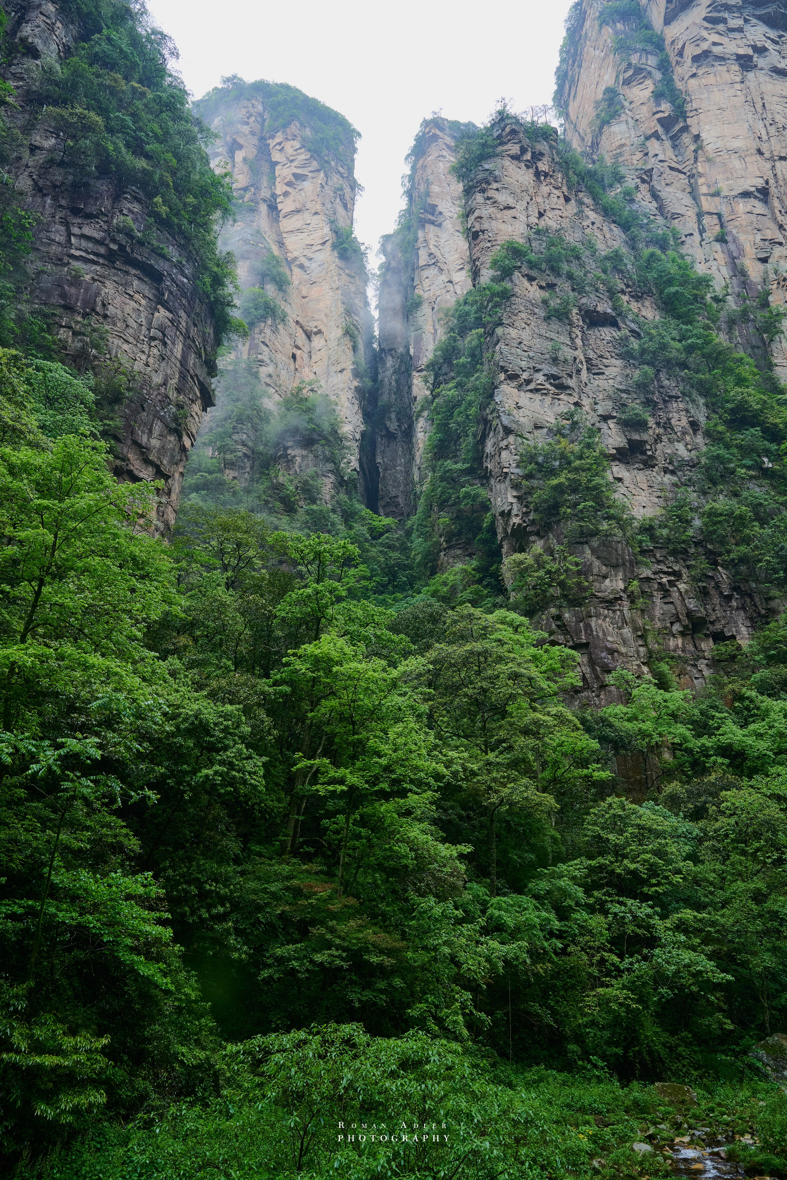 Zhangjiajie. Here, the sky seems to descend to the earth