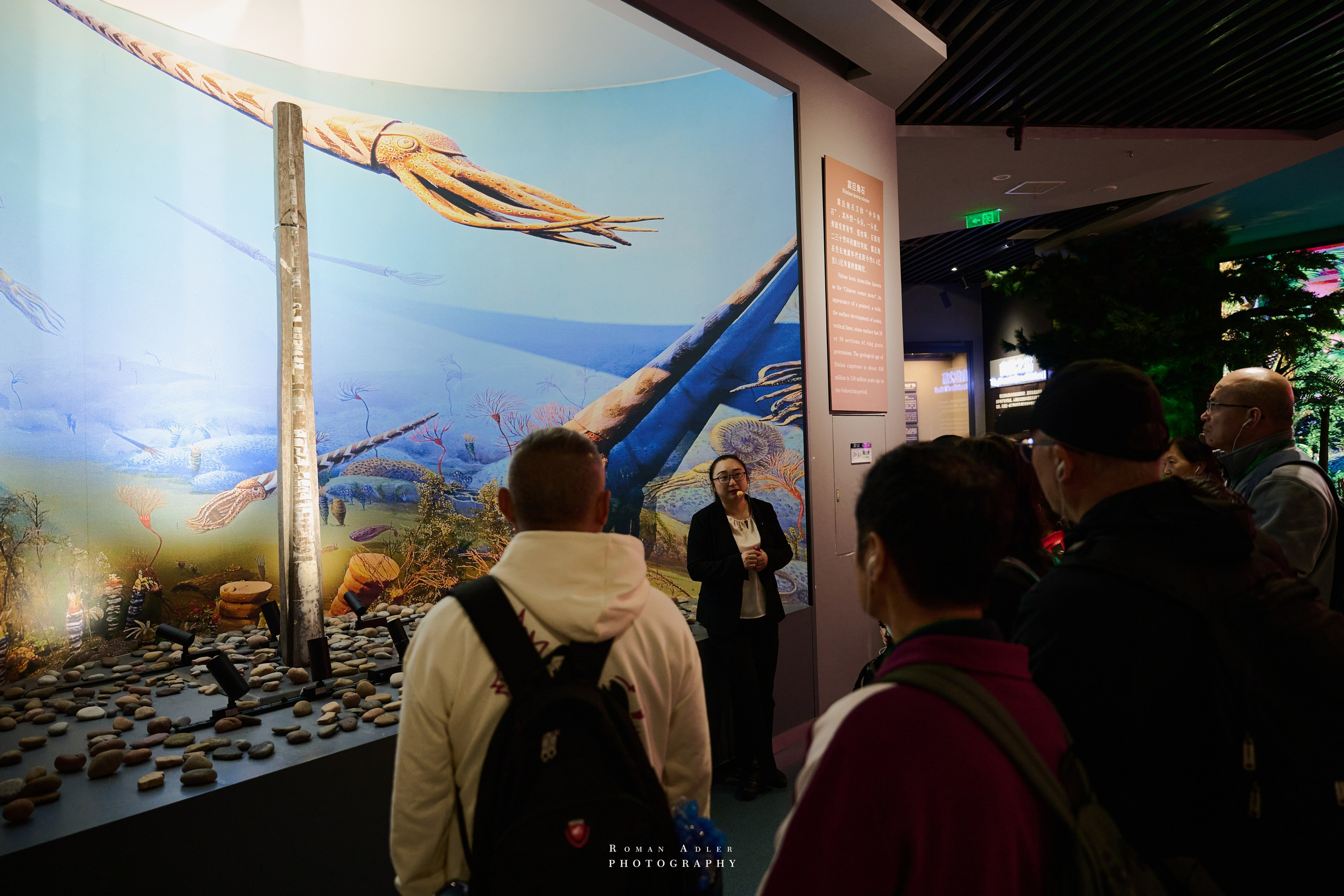 Zhangjiajie World Geopark Museum