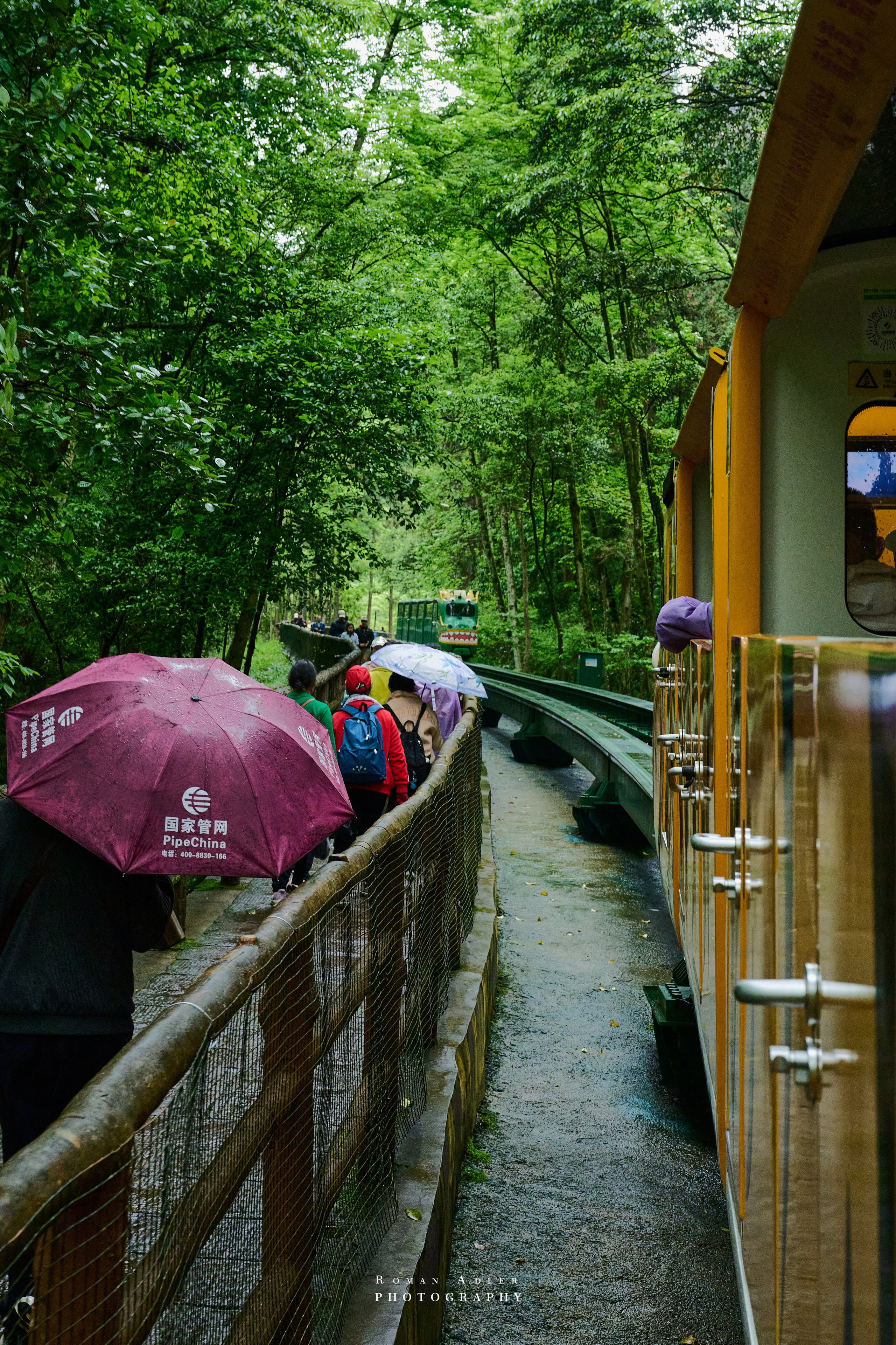 Zhangjiajie. Here, the sky seems to descend to the earth