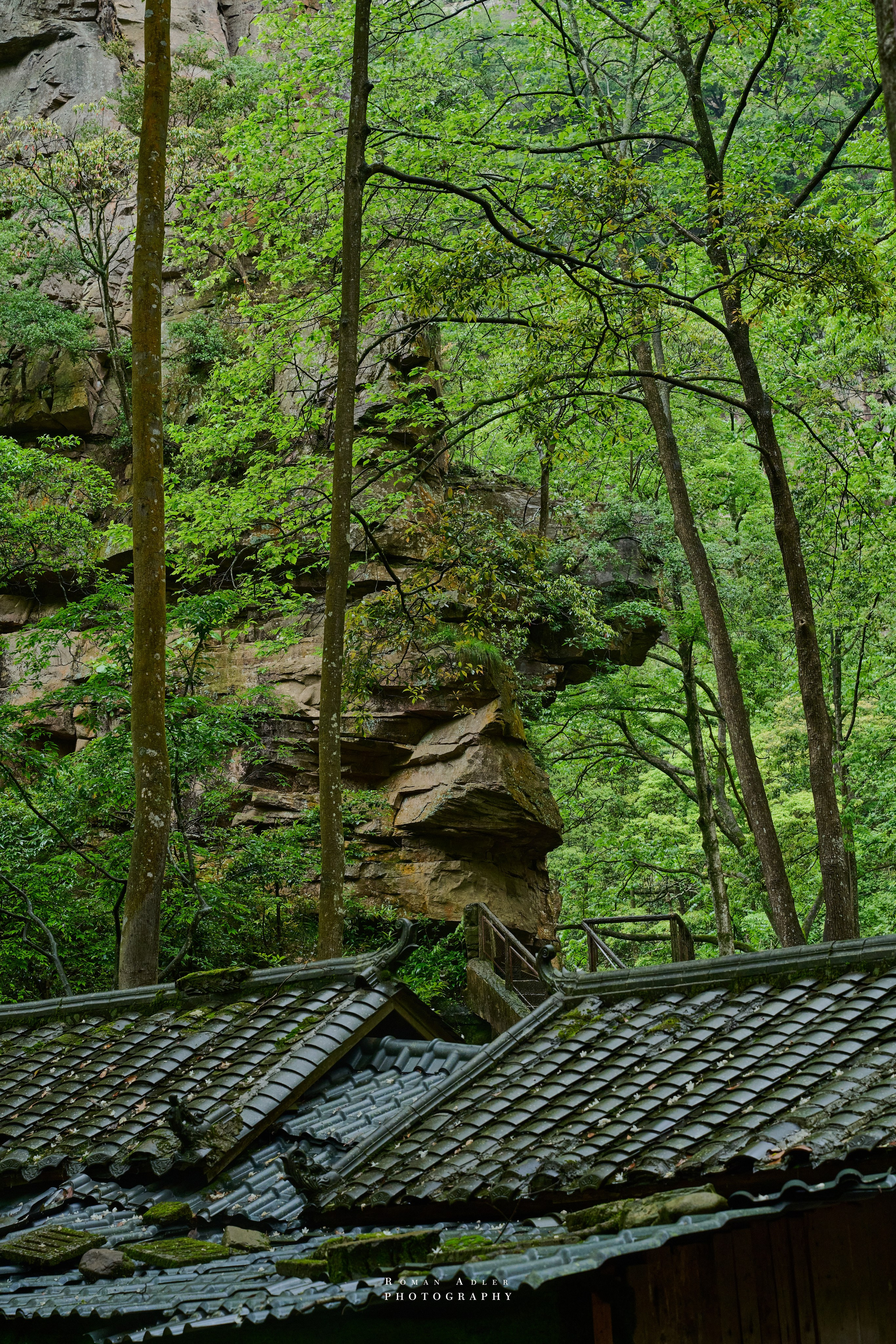 Zhangjiajie. Here, the sky seems to descend to the earth