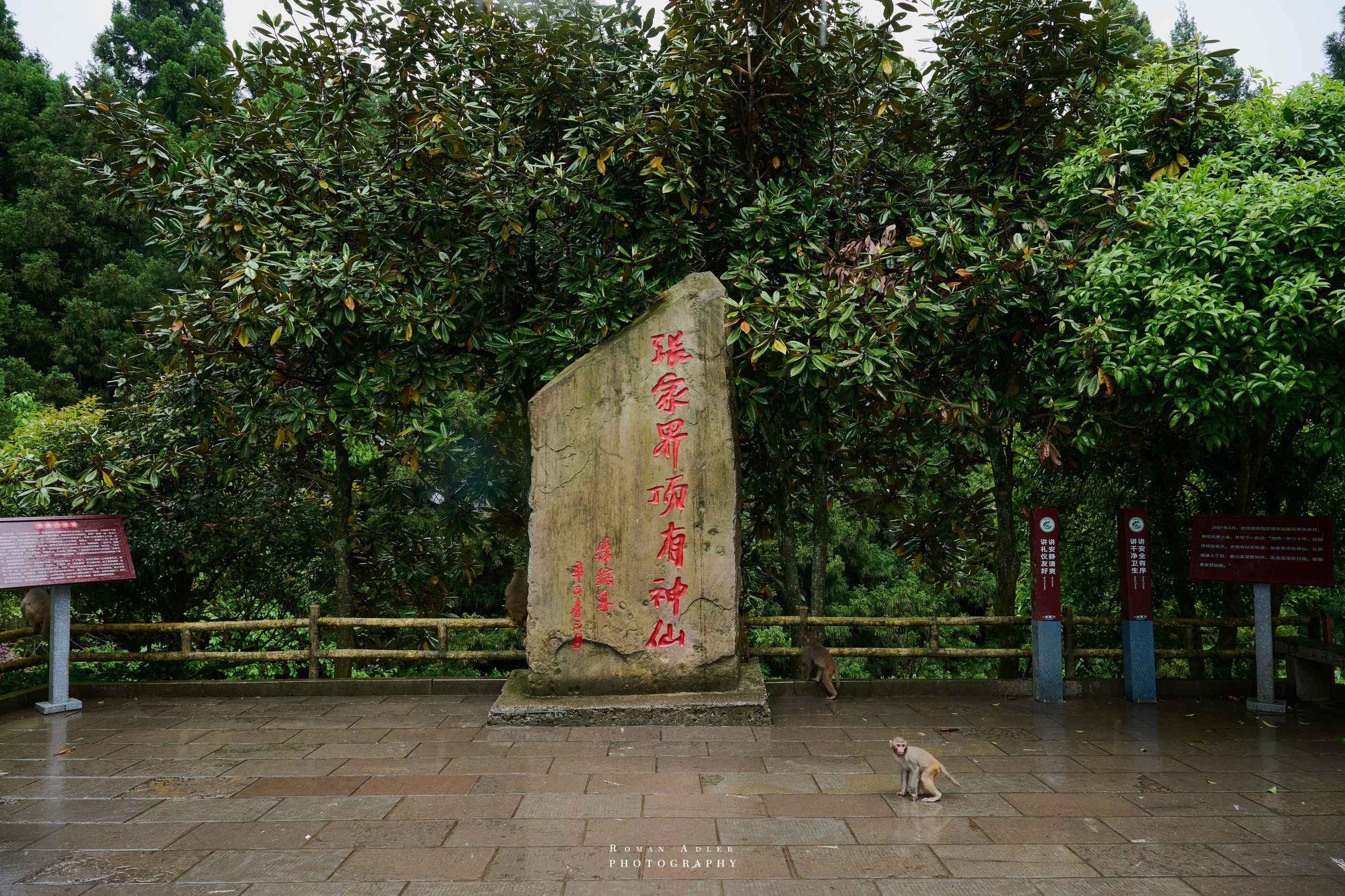Zhangjiajie. Here, the sky seems to descend to the earth