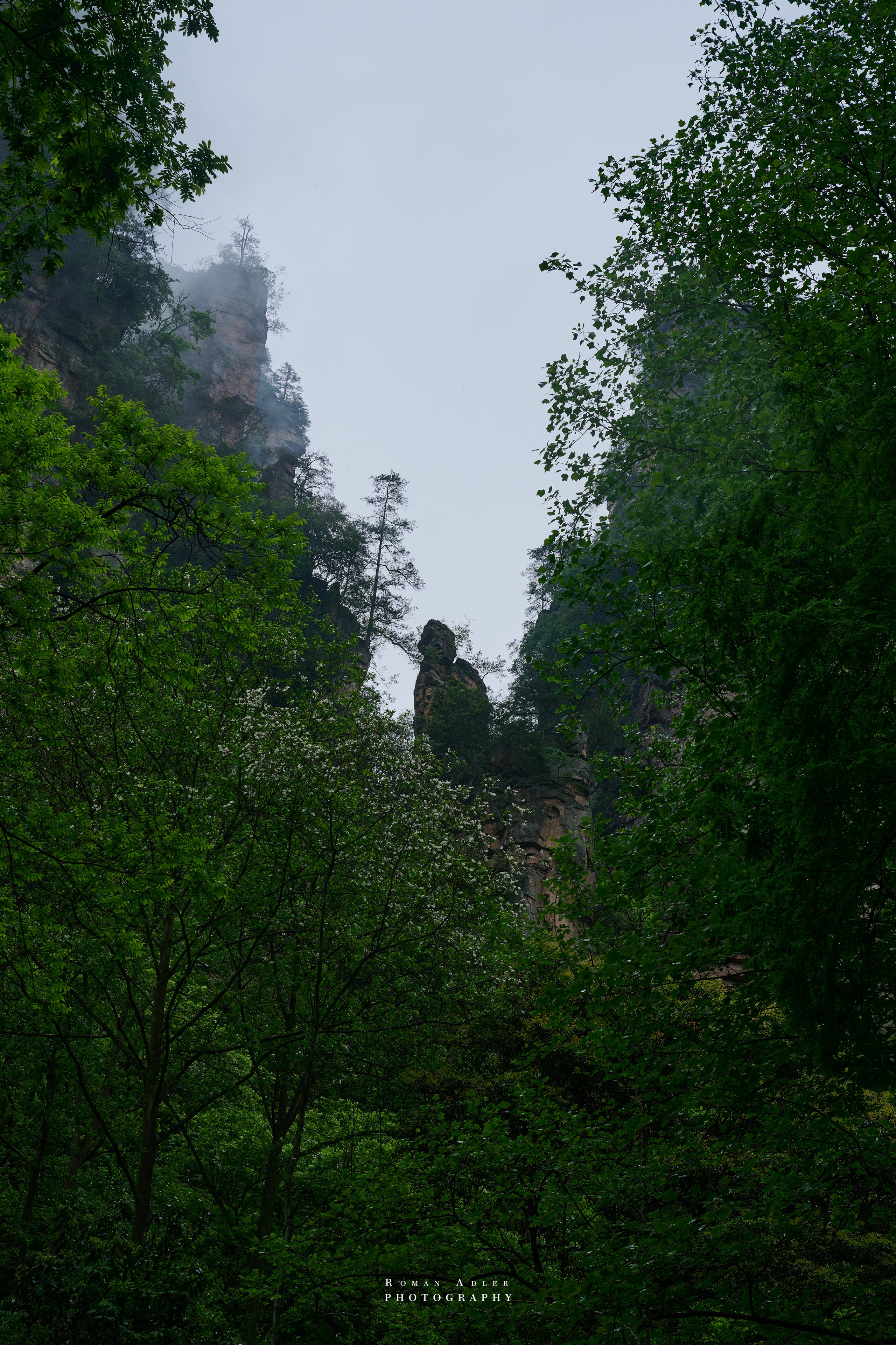 Zhangjiajie. Here, the sky seems to descend to the earth