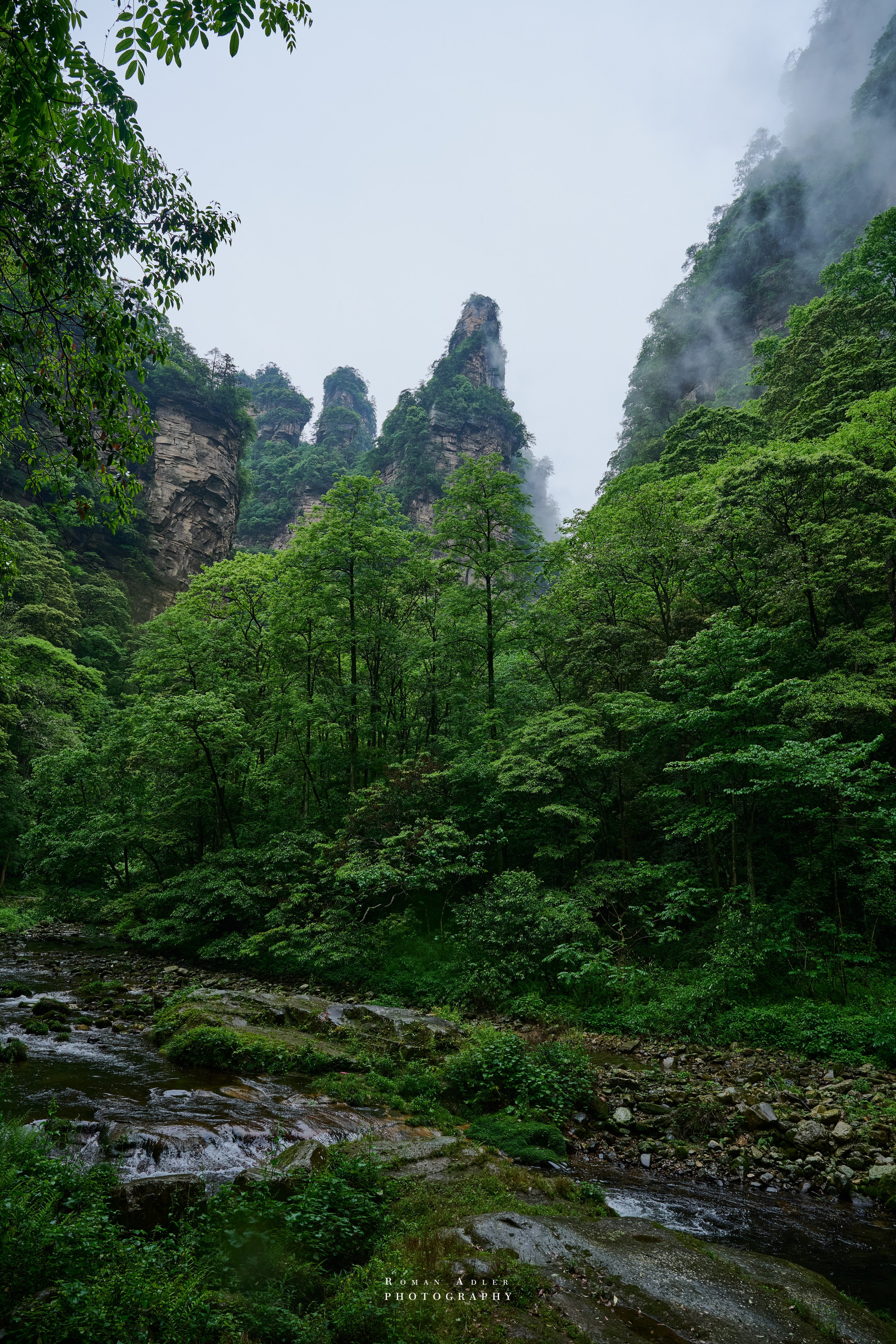 Zhangjiajie. Here, the sky seems to descend to the earth