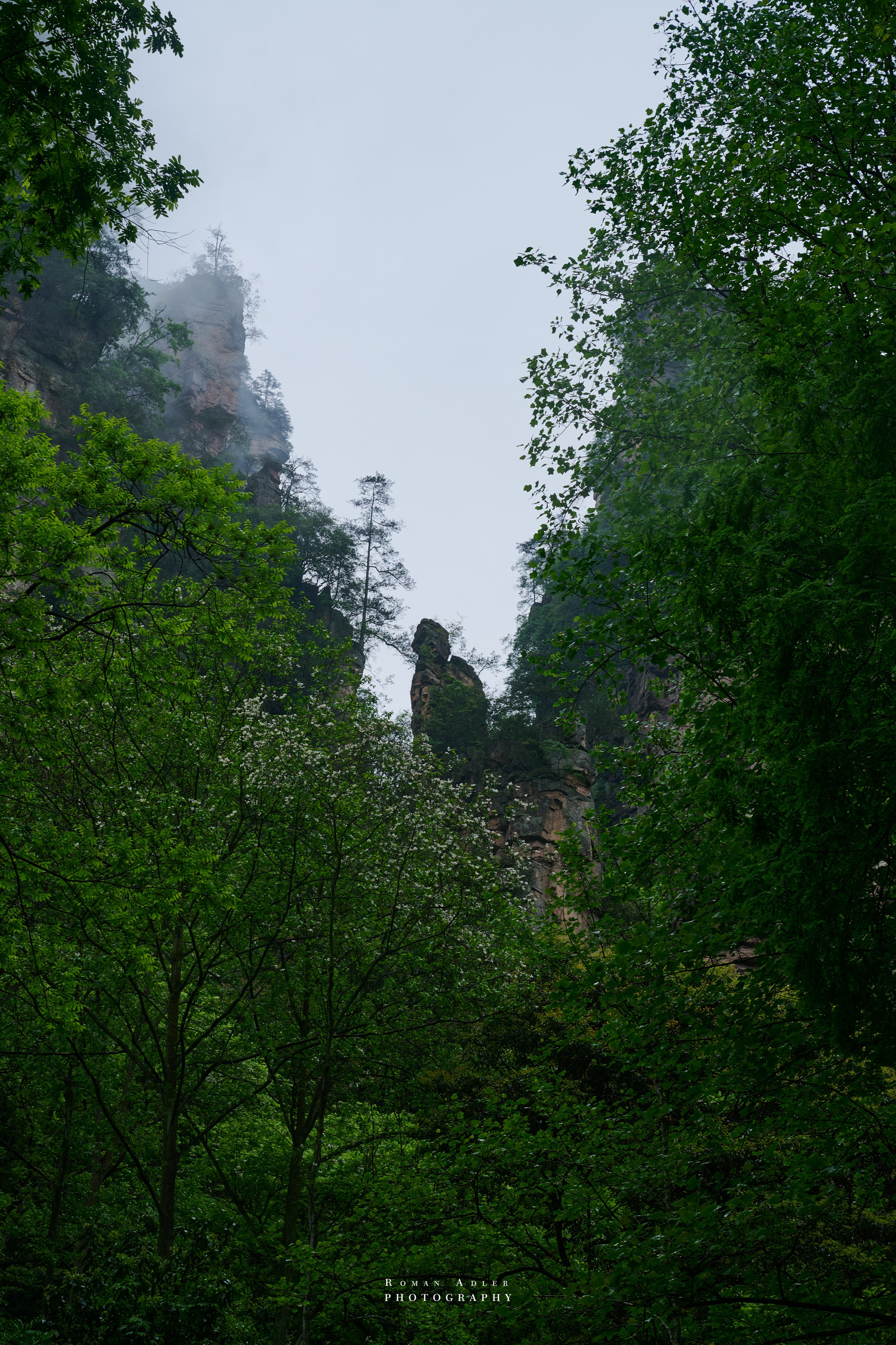 Zhangjiajie. Here, the sky seems to descend to the earth