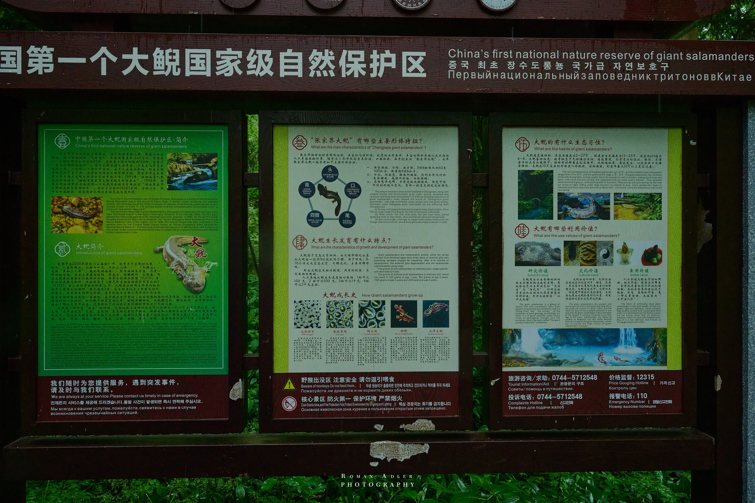 Zhangjiajie. Here, the sky seems to descend to the earth