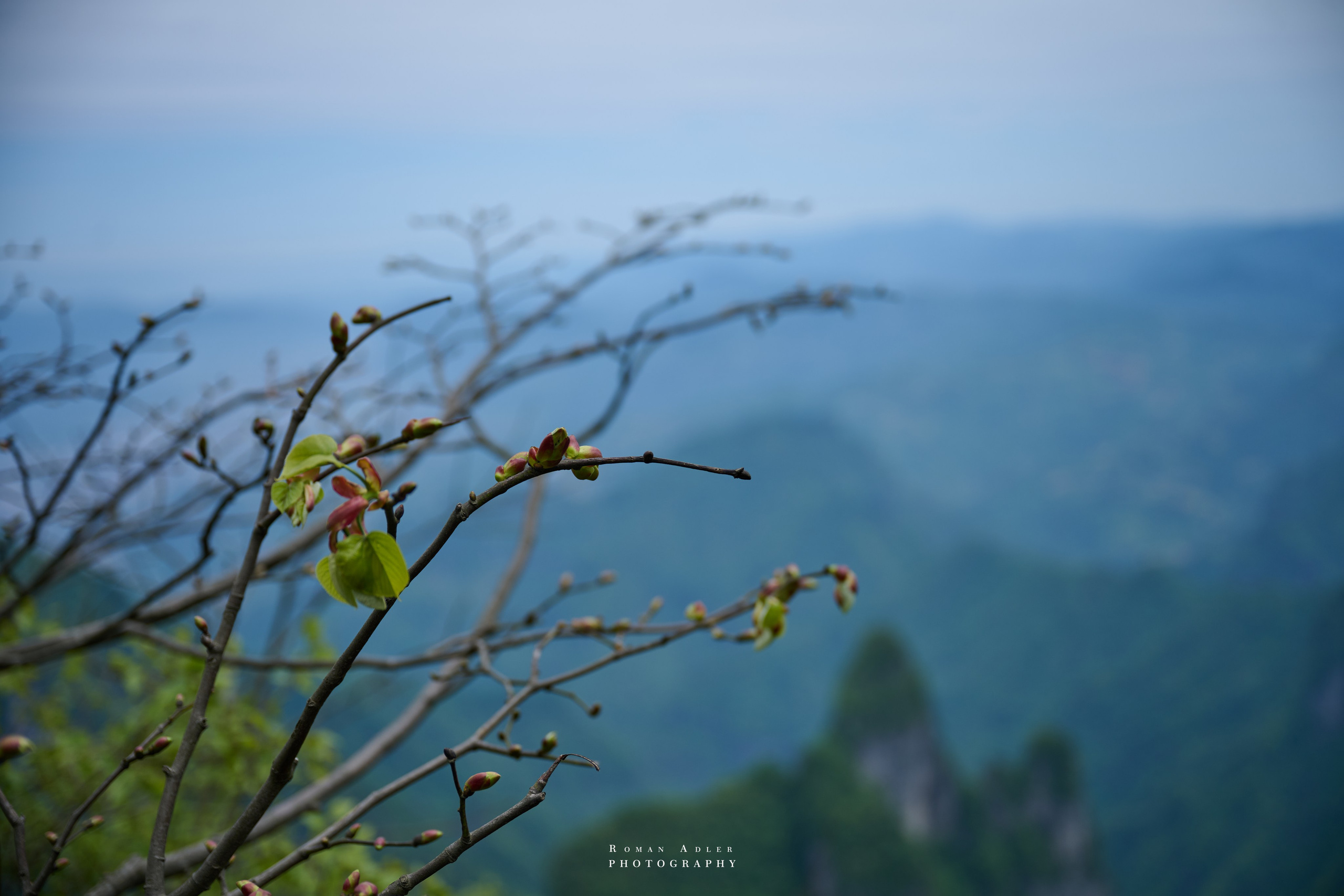 Гора Тяньмэнь (кит. 天门山, Tiānmén Shān). Photographer Roman Adler