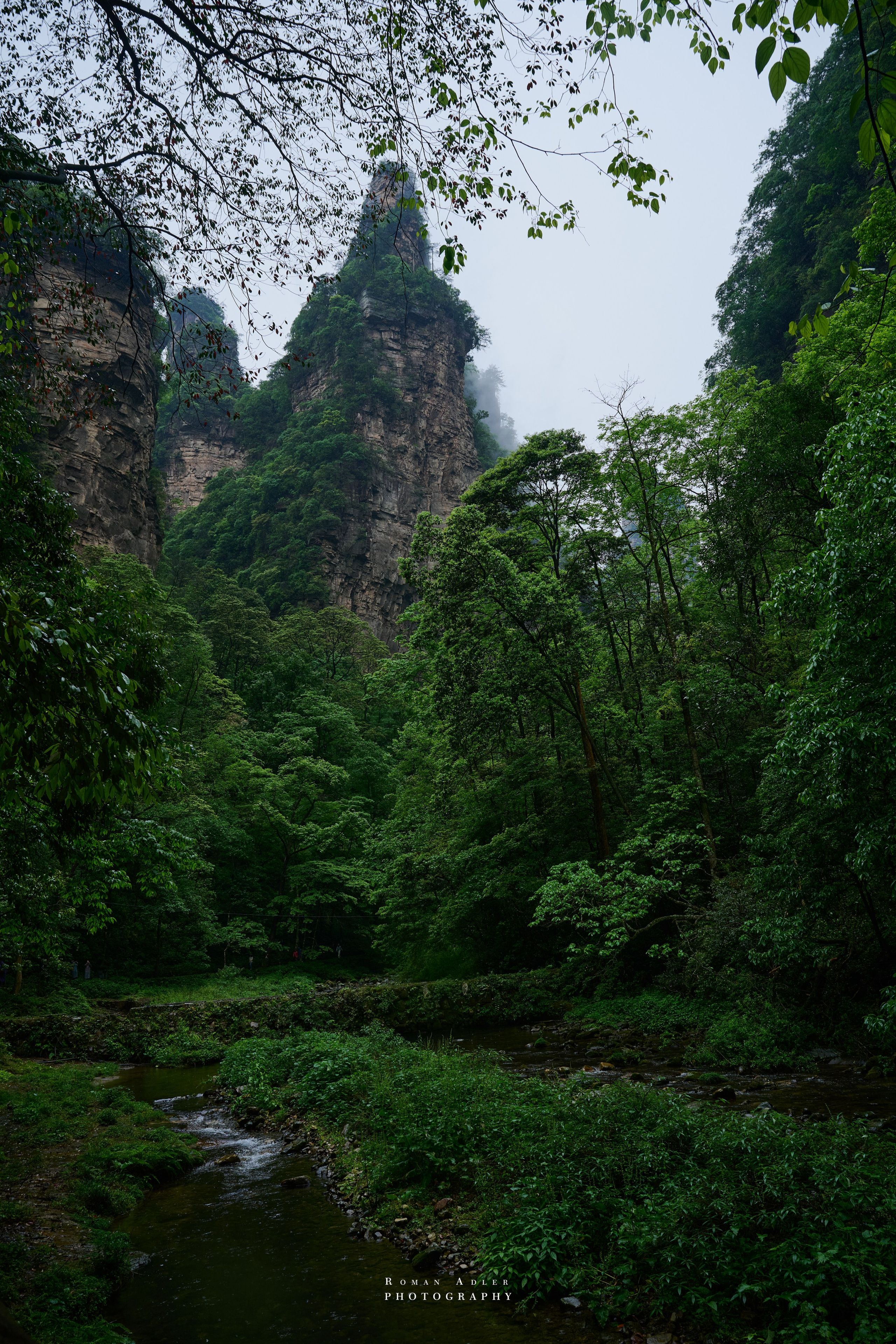 Zhangjiajie. Here, the sky seems to descend to the earth