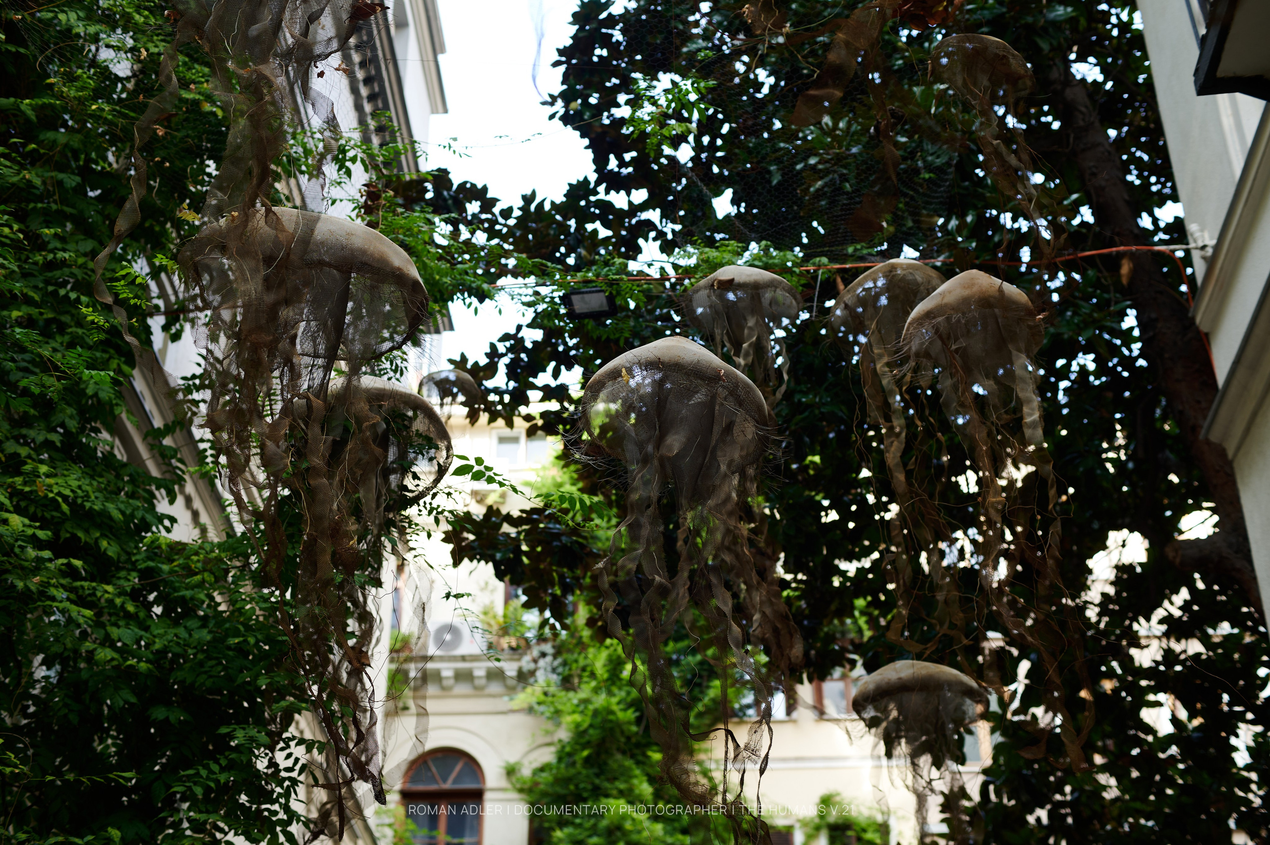 Istanbul Street Photography Festival (ISPF)