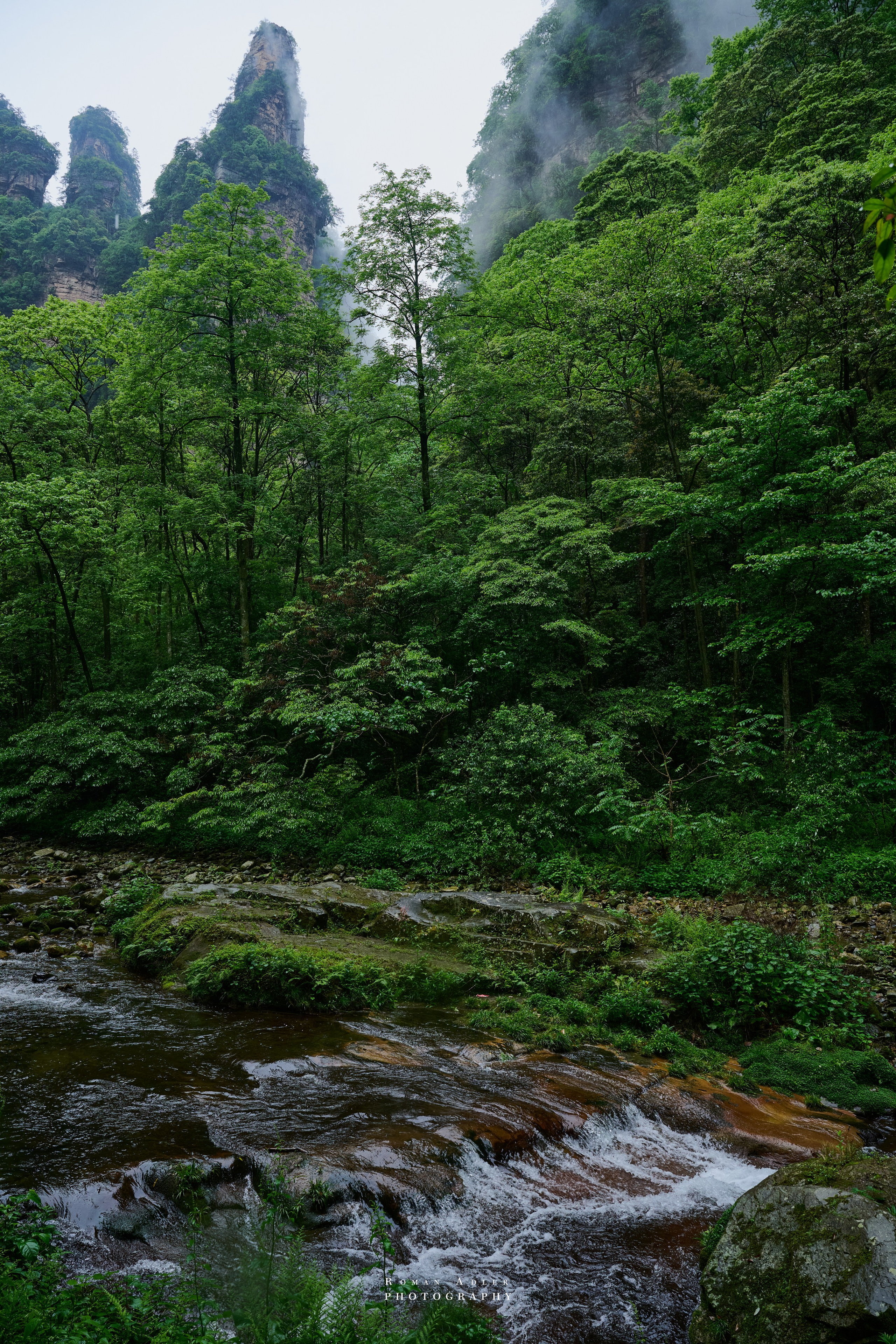 Zhangjiajie. Here, the sky seems to descend to the earth