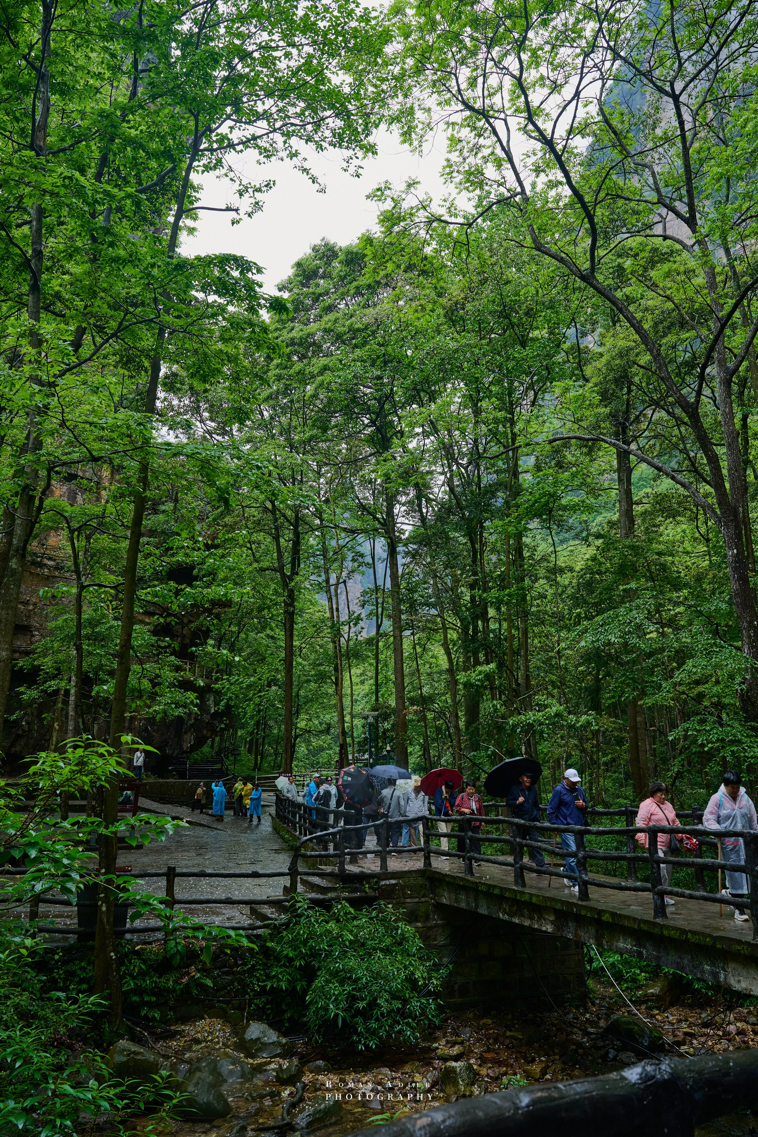 Zhangjiajie. Here, the sky seems to descend to the earth