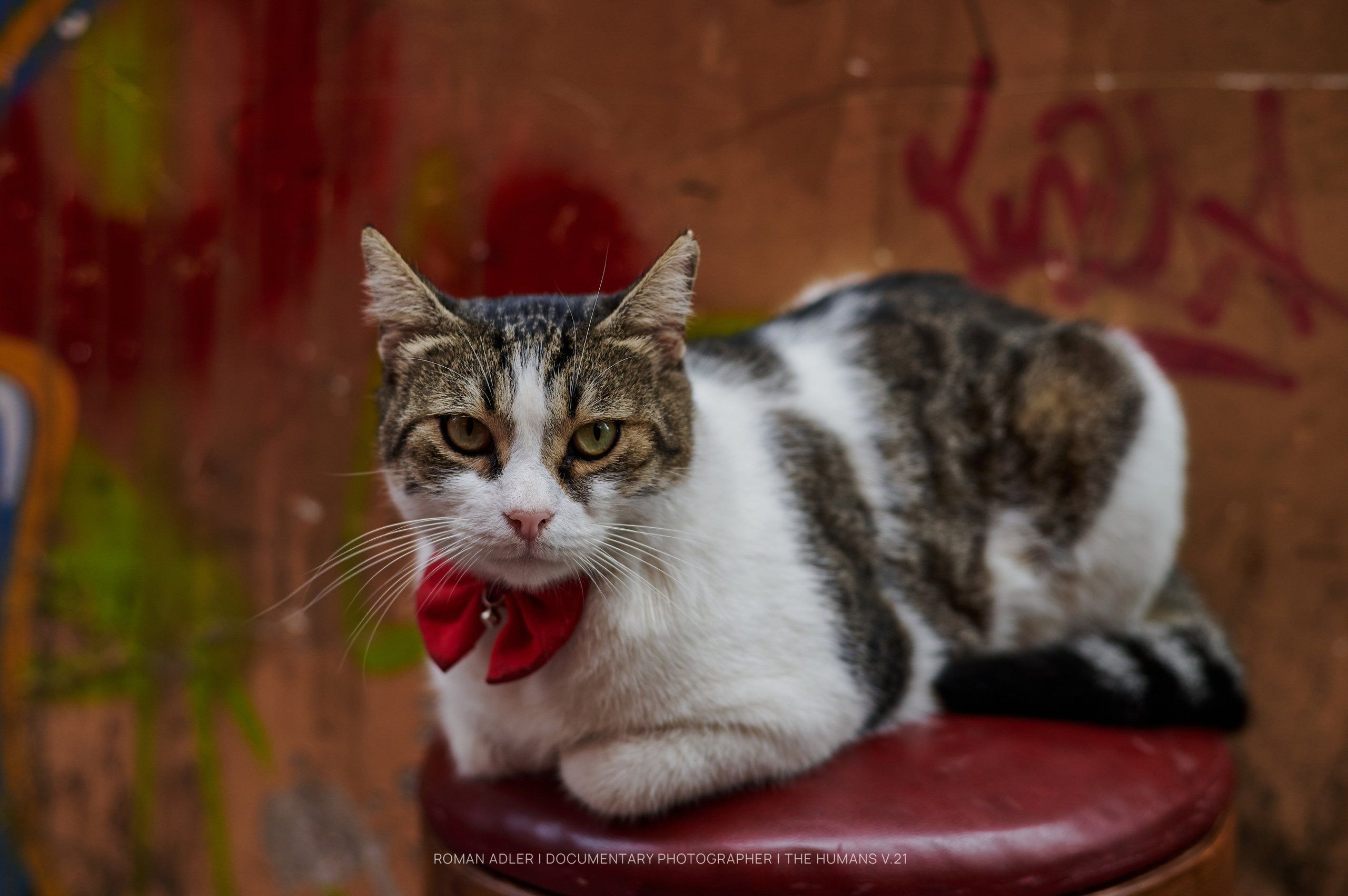Istanbul Street Photography Festival (ISPF)