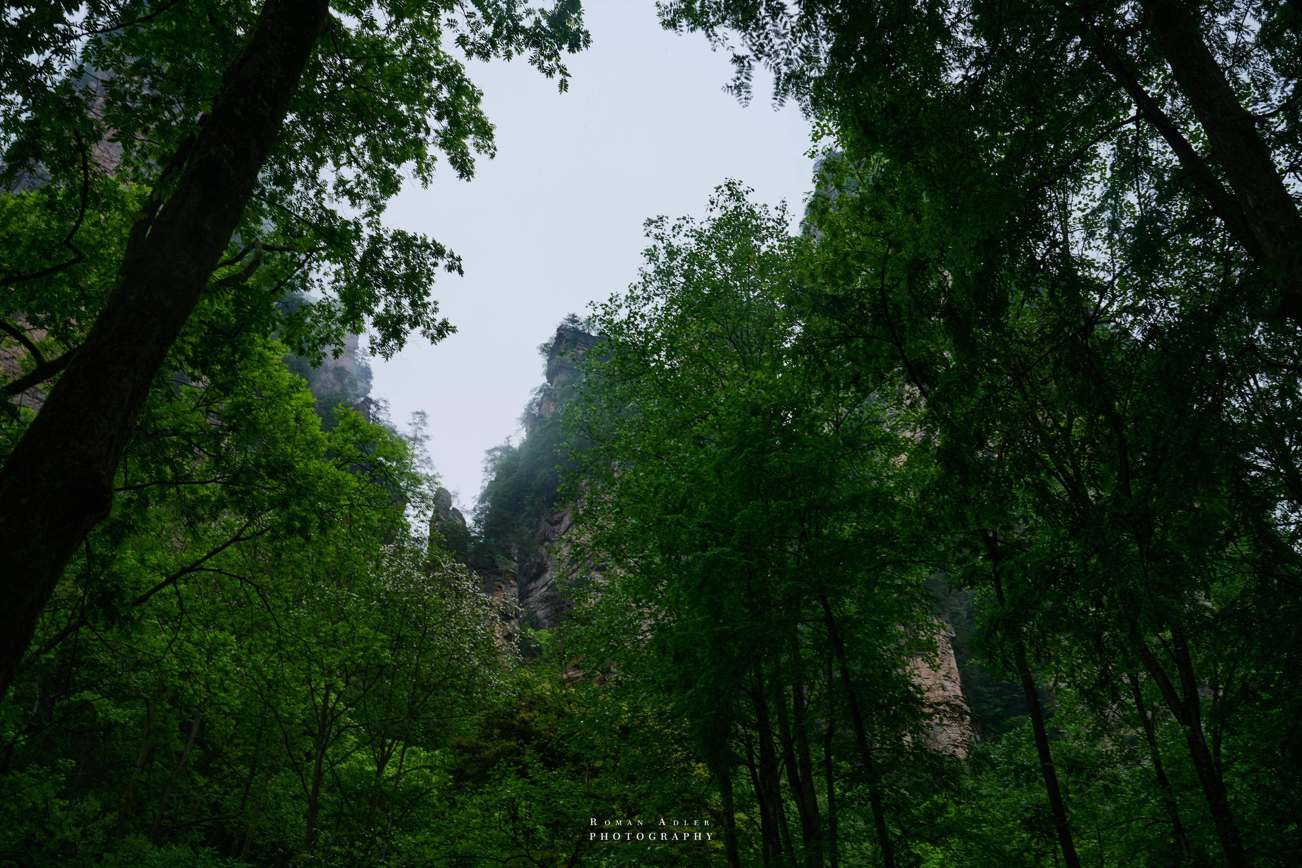 Zhangjiajie. Here, the sky seems to descend to the earth