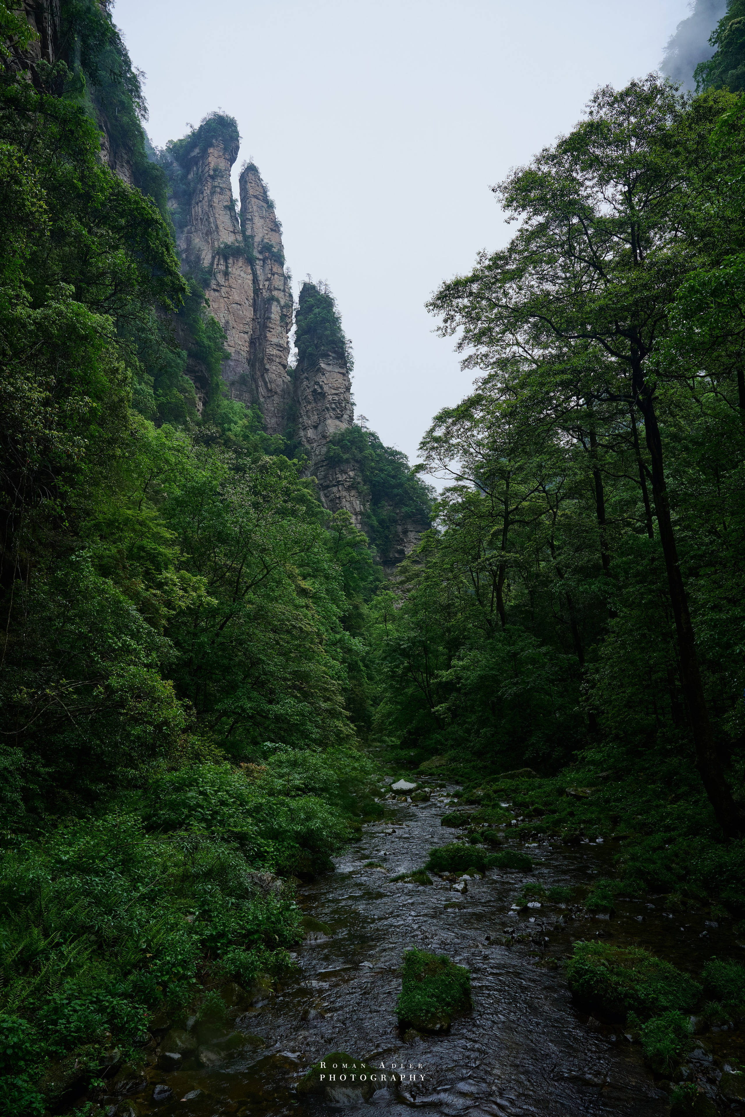 Zhangjiajie. Here, the sky seems to descend to the earth