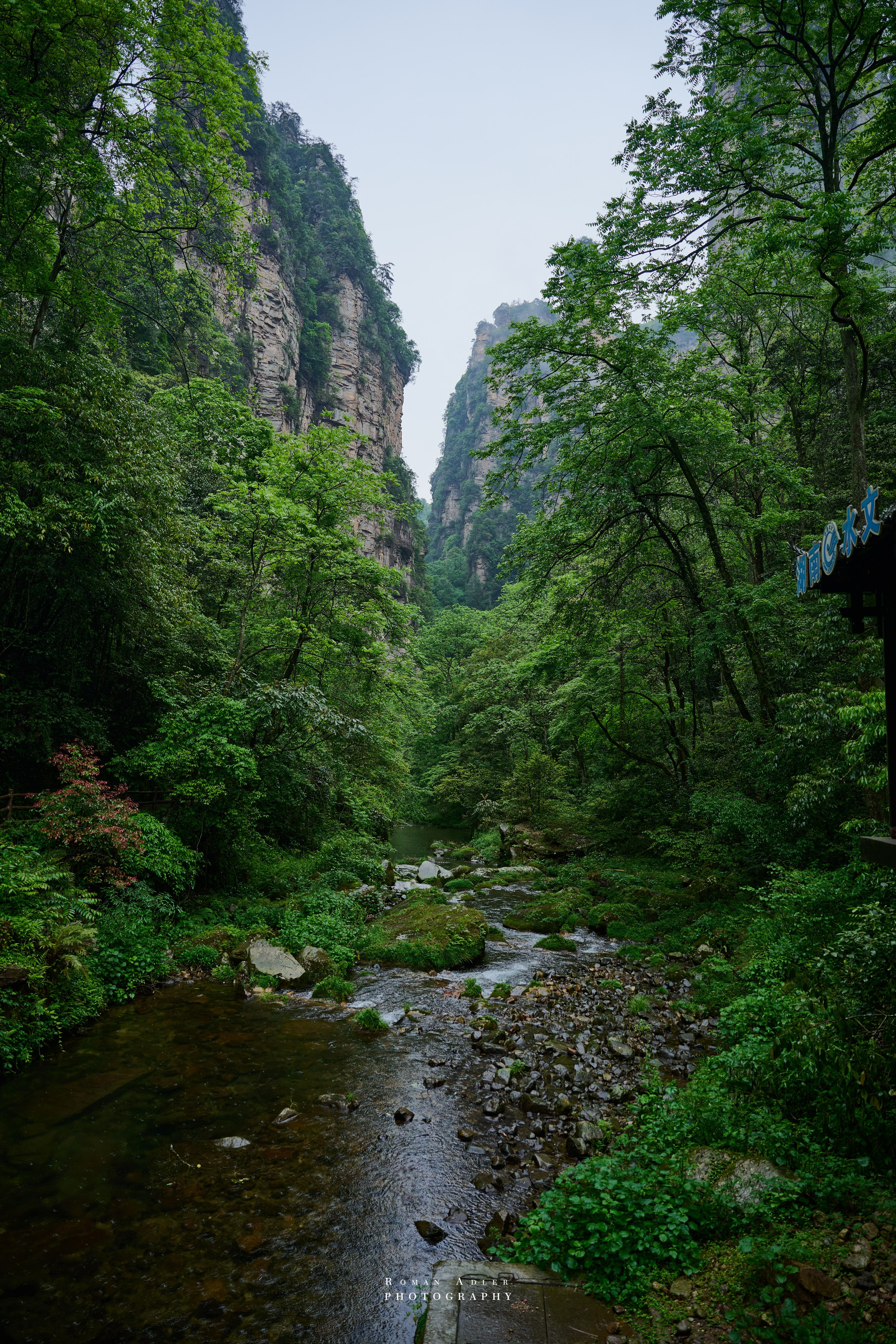 Zhangjiajie. Here, the sky seems to descend to the earth