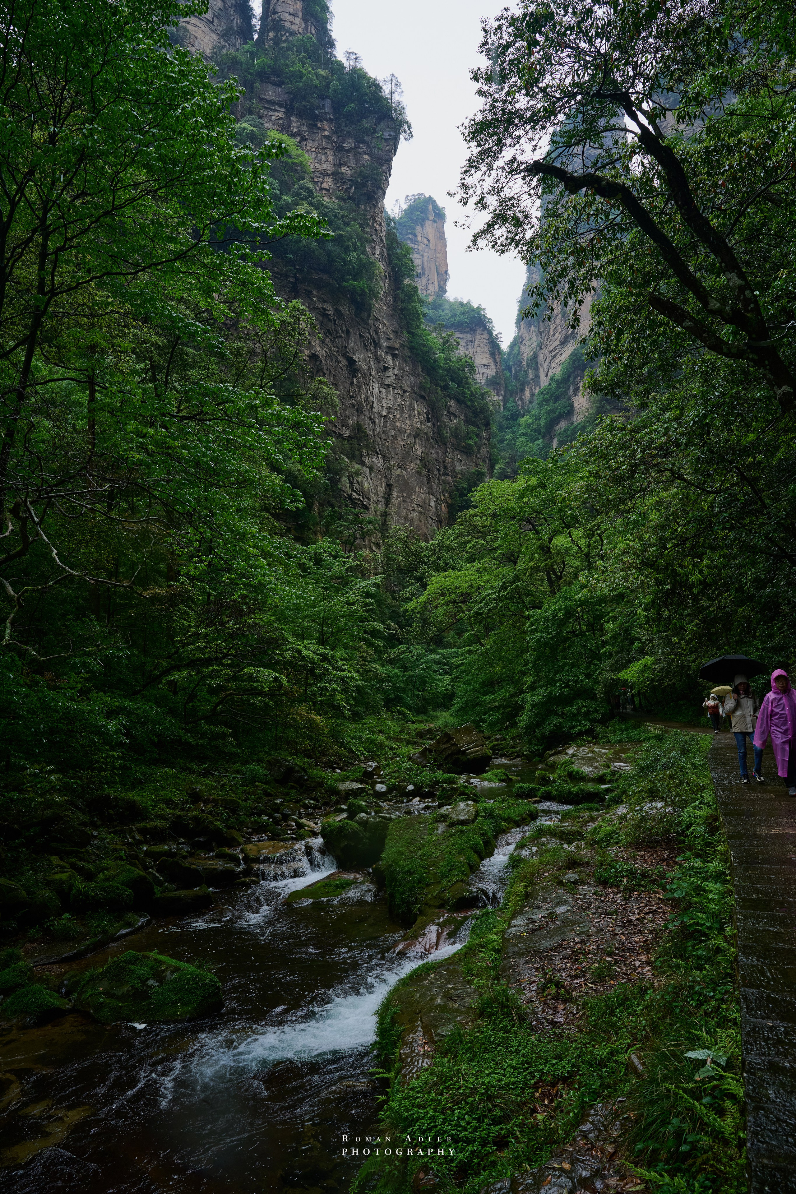 Zhangjiajie. Here, the sky seems to descend to the earth