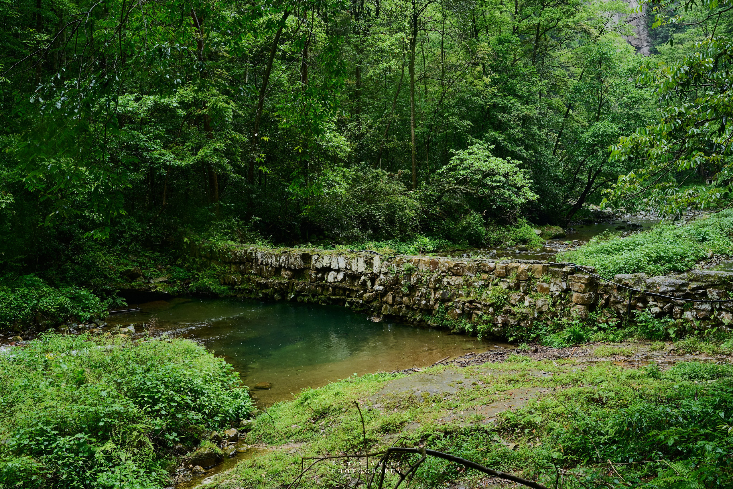 Zhangjiajie. Here, the sky seems to descend to the earth