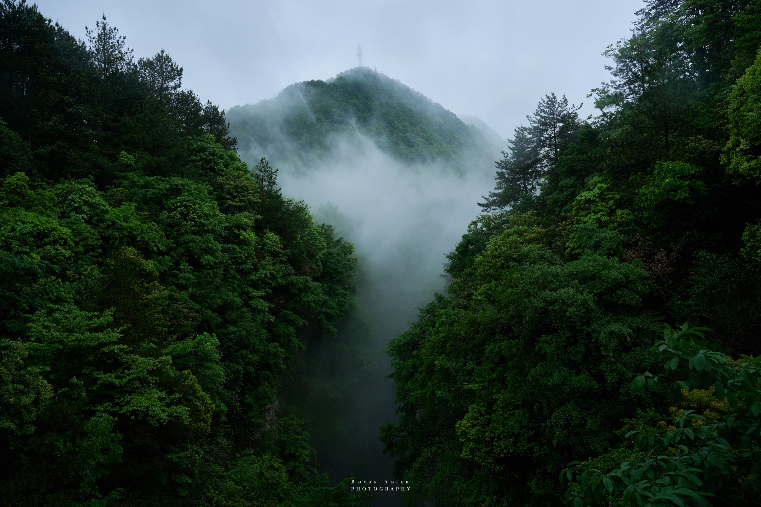 Zhangjiajie. Here, the sky seems to descend to the earth
