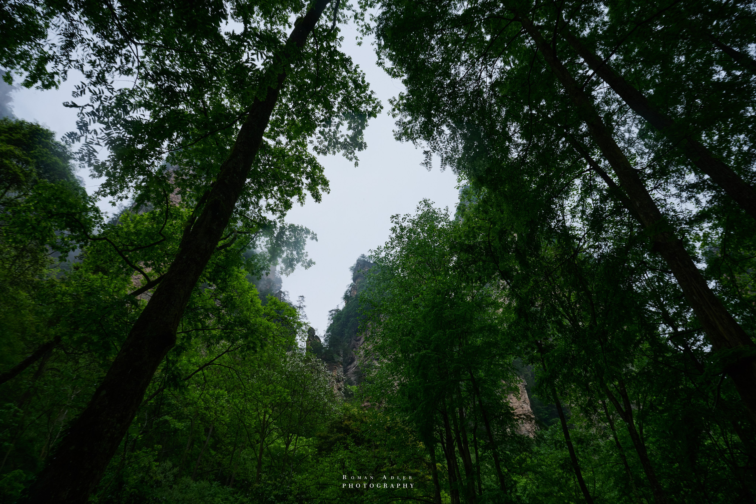 Zhangjiajie. Here, the sky seems to descend to the earth