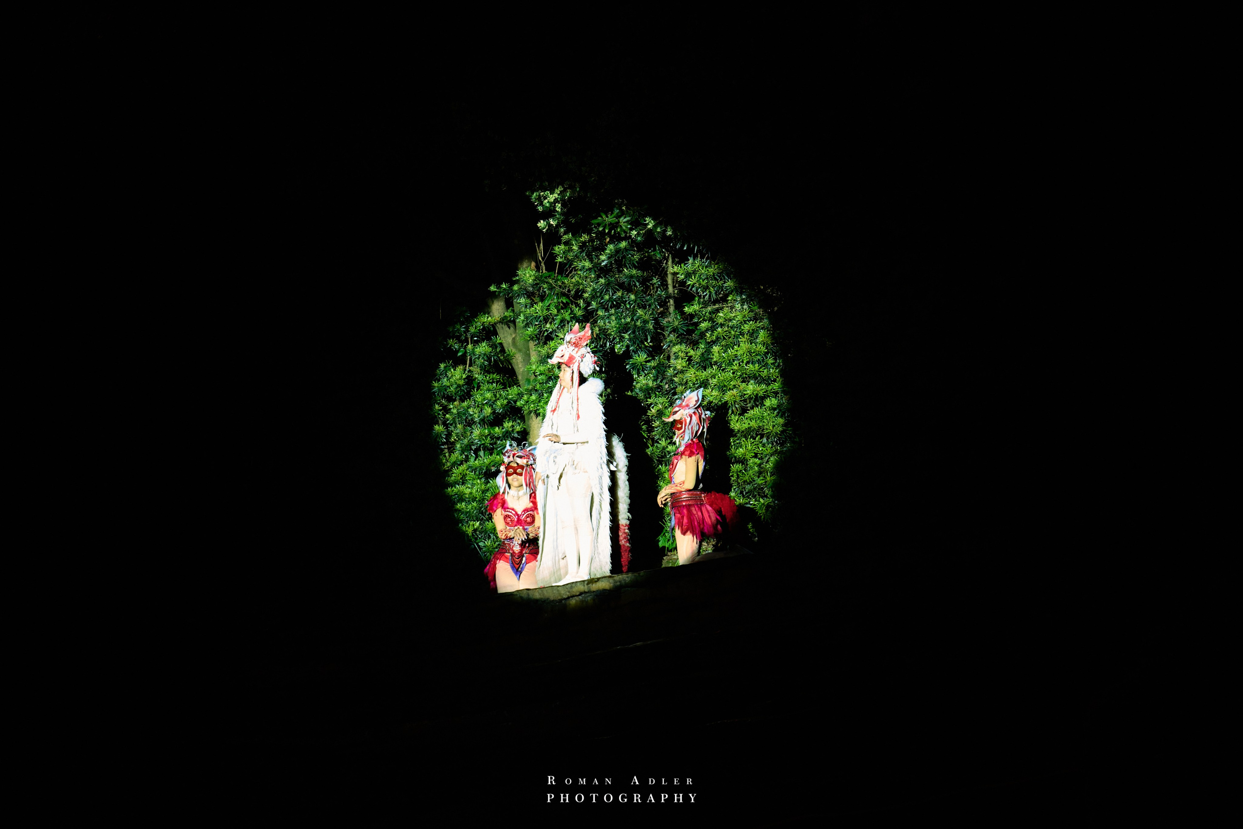 Театр Лисы. 摄影师罗曼·阿德勒