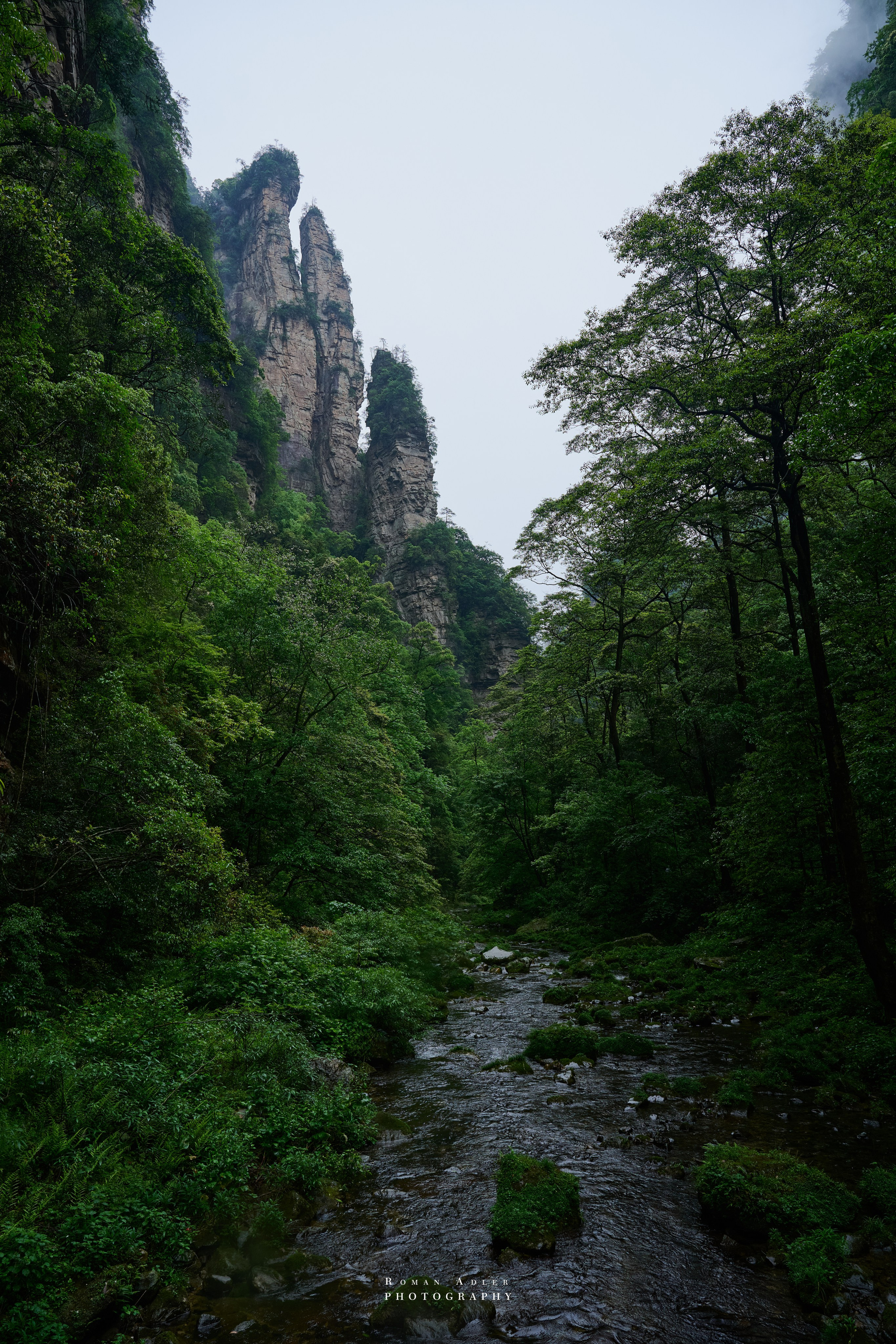 Zhangjiajie. Here, the sky seems to descend to the earth