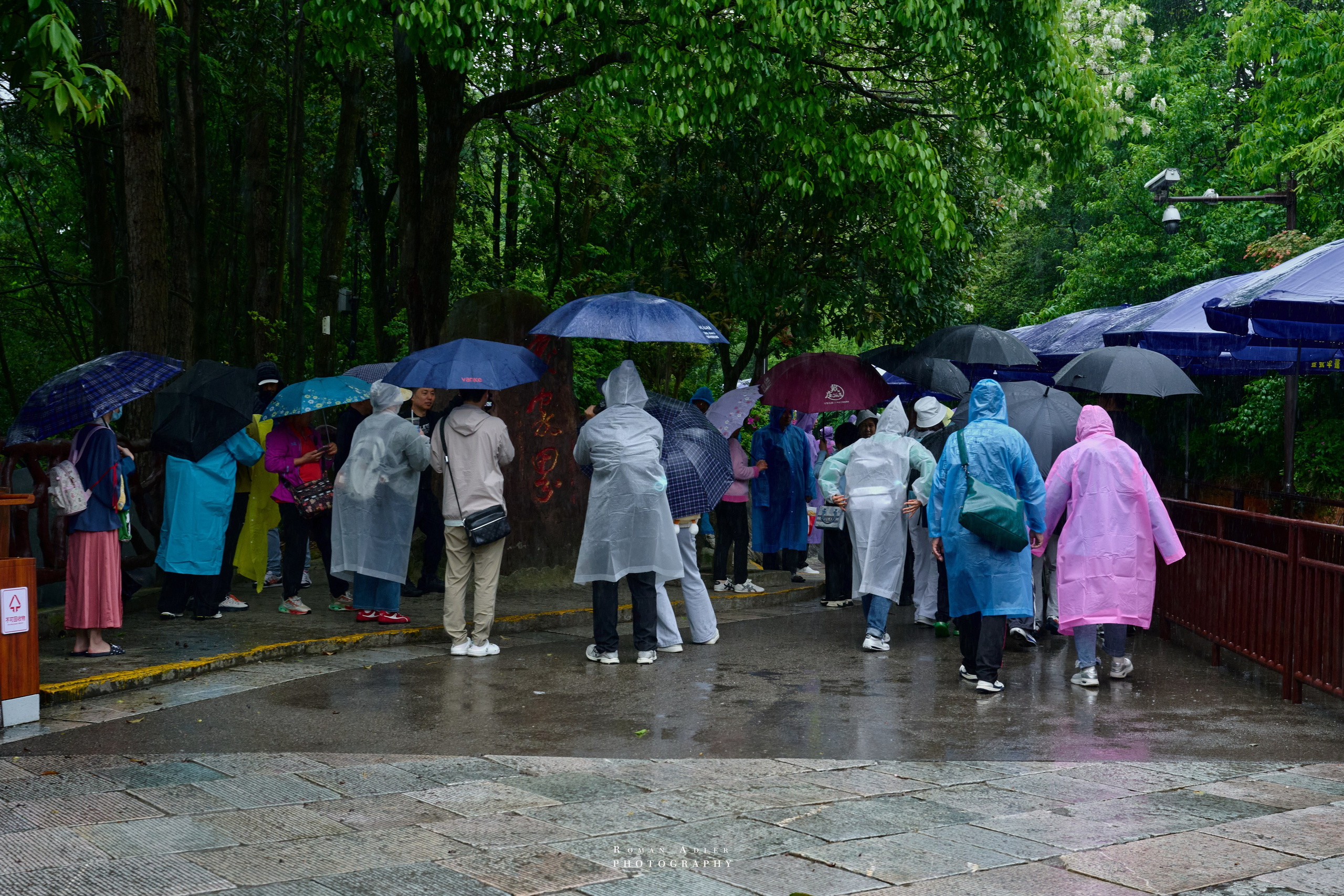 Zhangjiajie. Here, the sky seems to descend to the earth