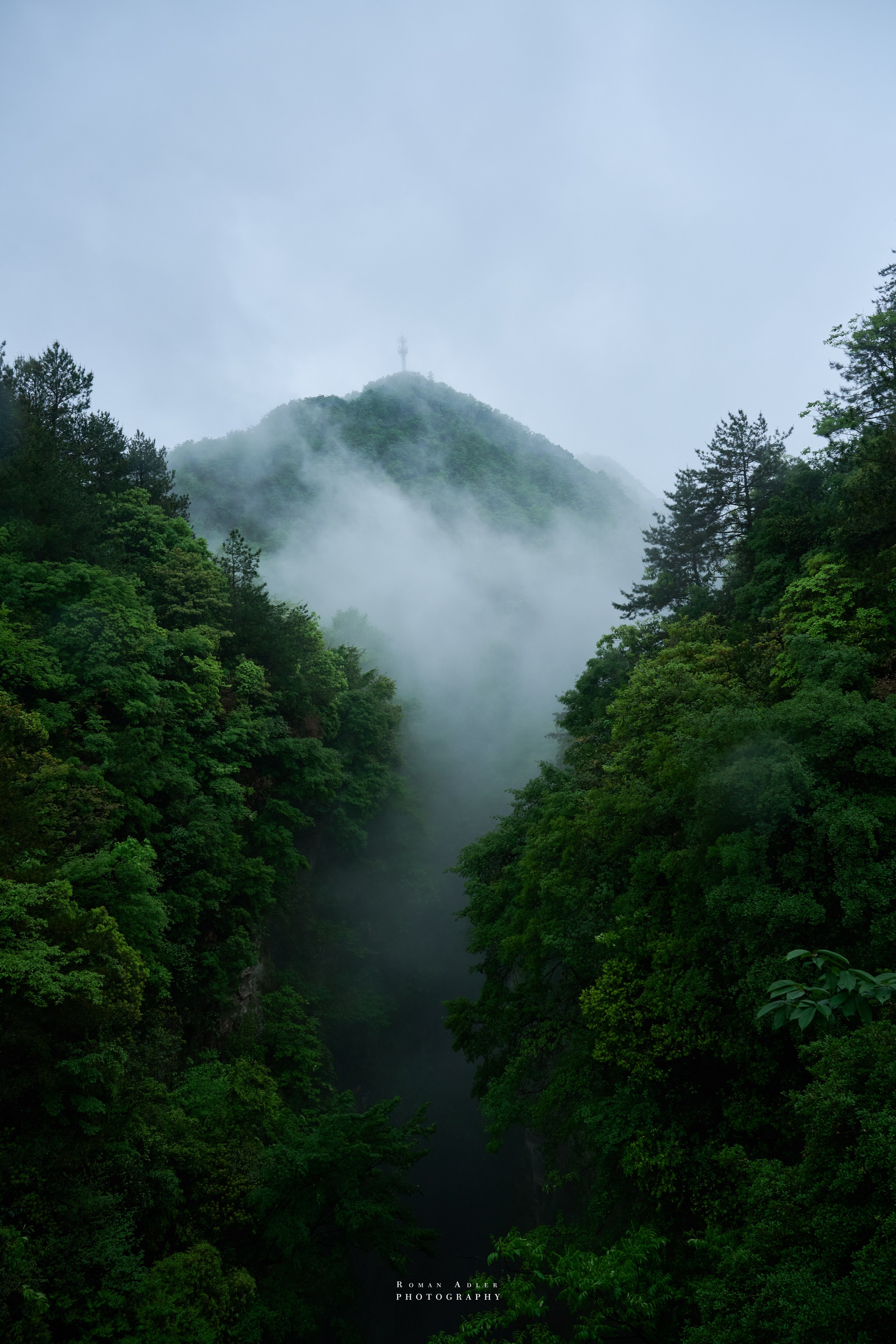 Zhangjiajie. Here, the sky seems to descend to the earth