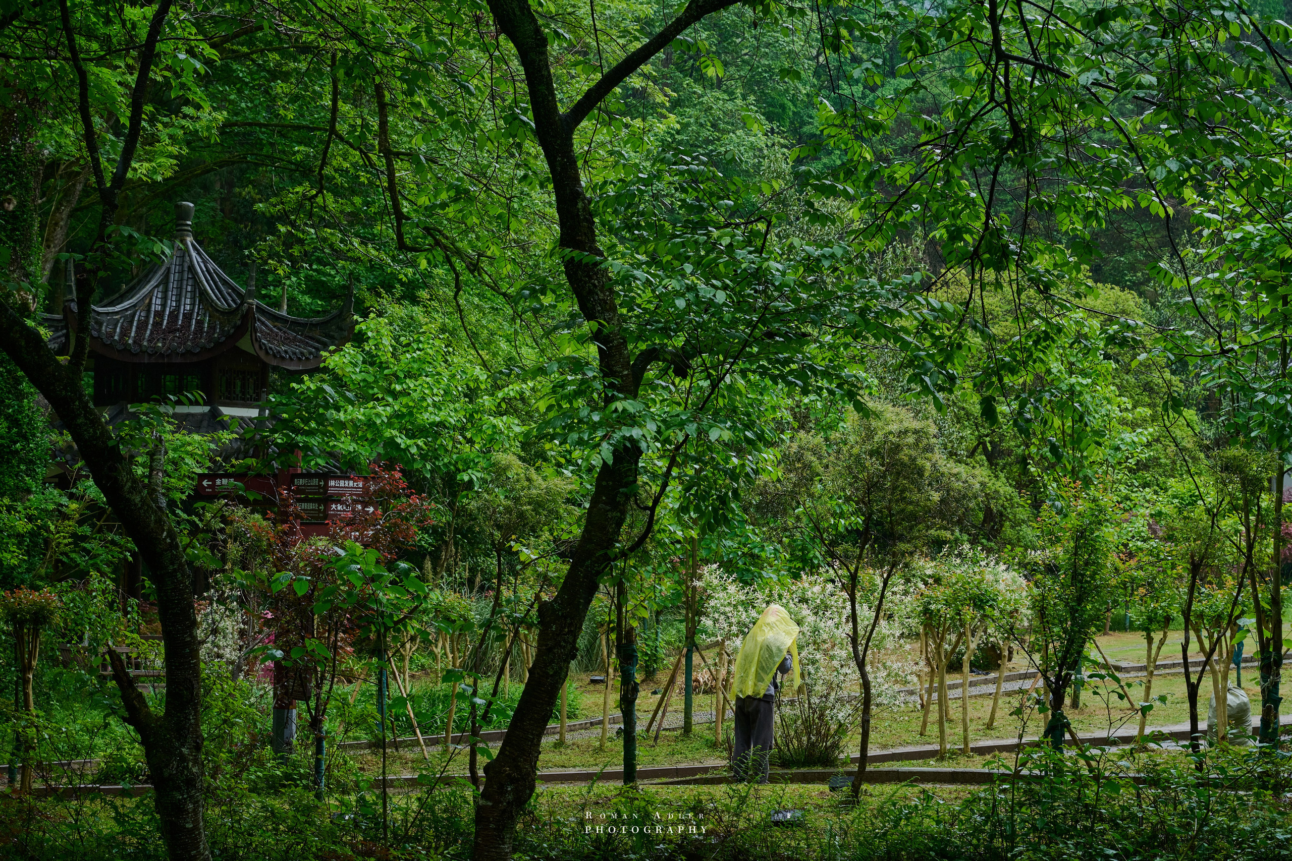 Zhangjiajie. Here, the sky seems to descend to the earth