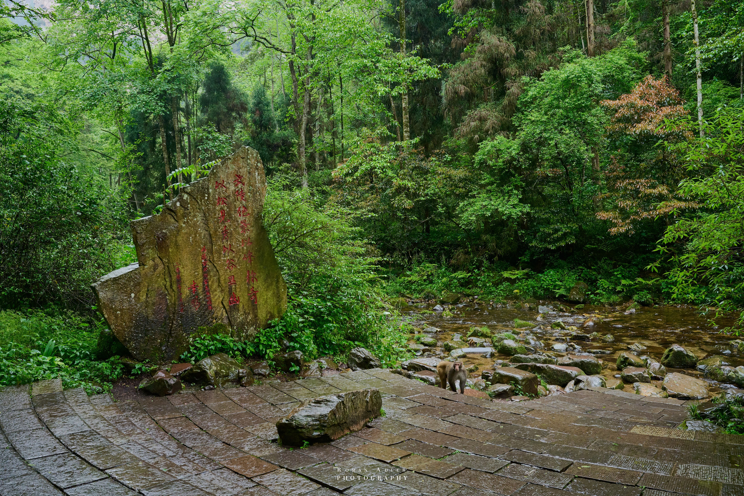 Zhangjiajie. Here, the sky seems to descend to the earth