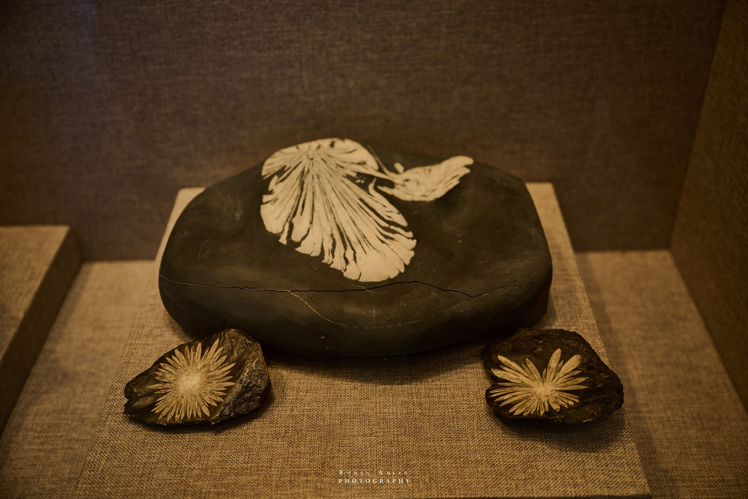 Zhangjiajie World Geopark Museum