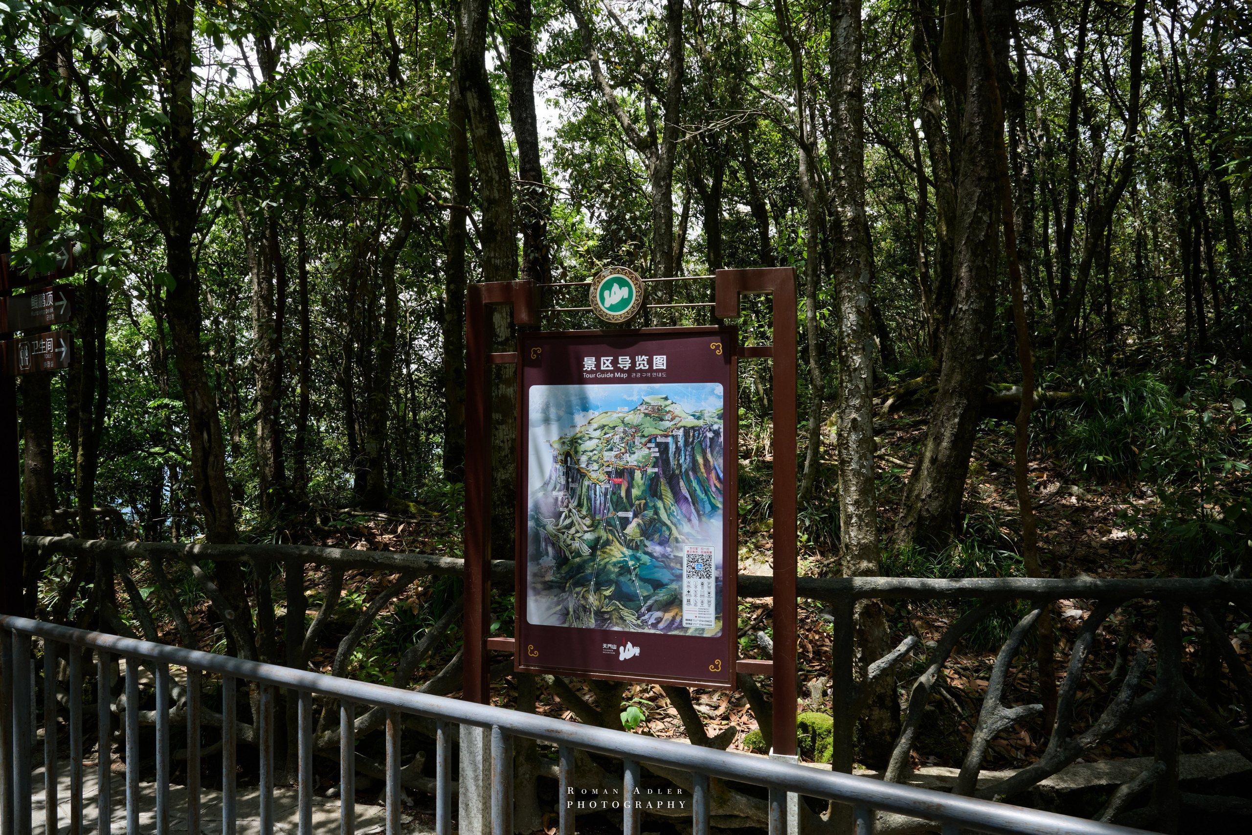 Heaven’s Gate — Zhangjiajie’s Iconic Mountain