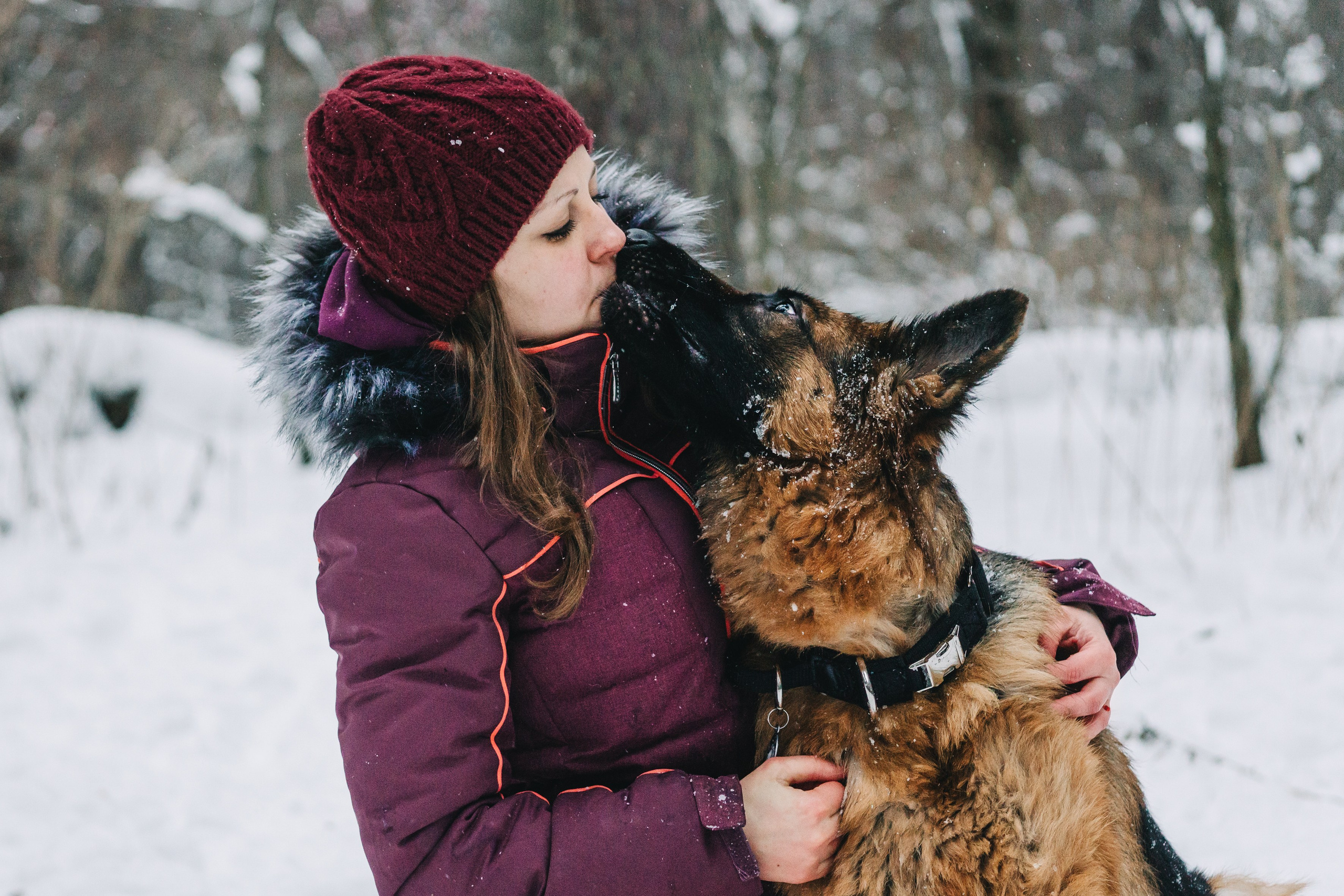 Life with dog. Saamill